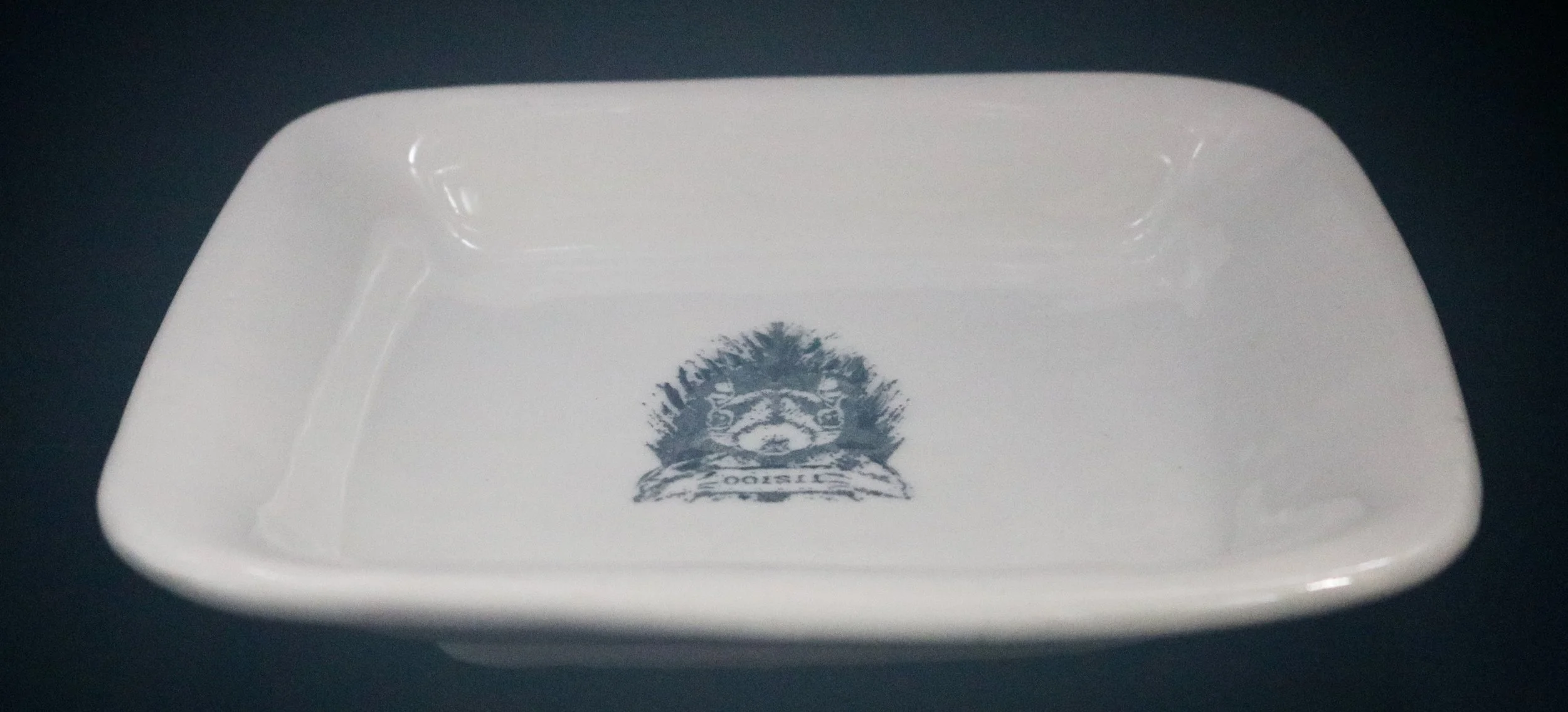 Illegal Animals #1 square plate (1).jpg