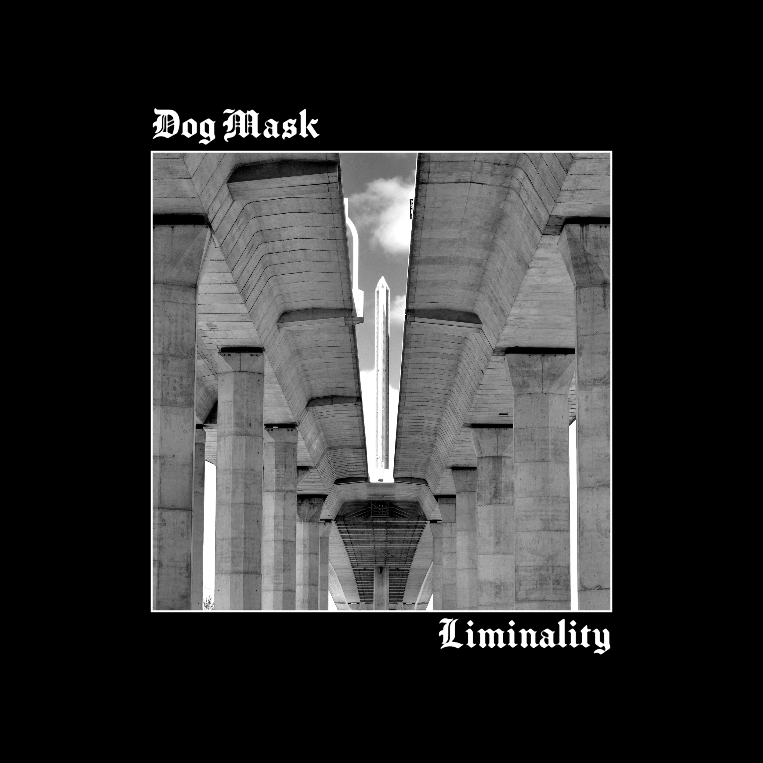 Dog Mask - Liminality Album Cover - Concept 12.png