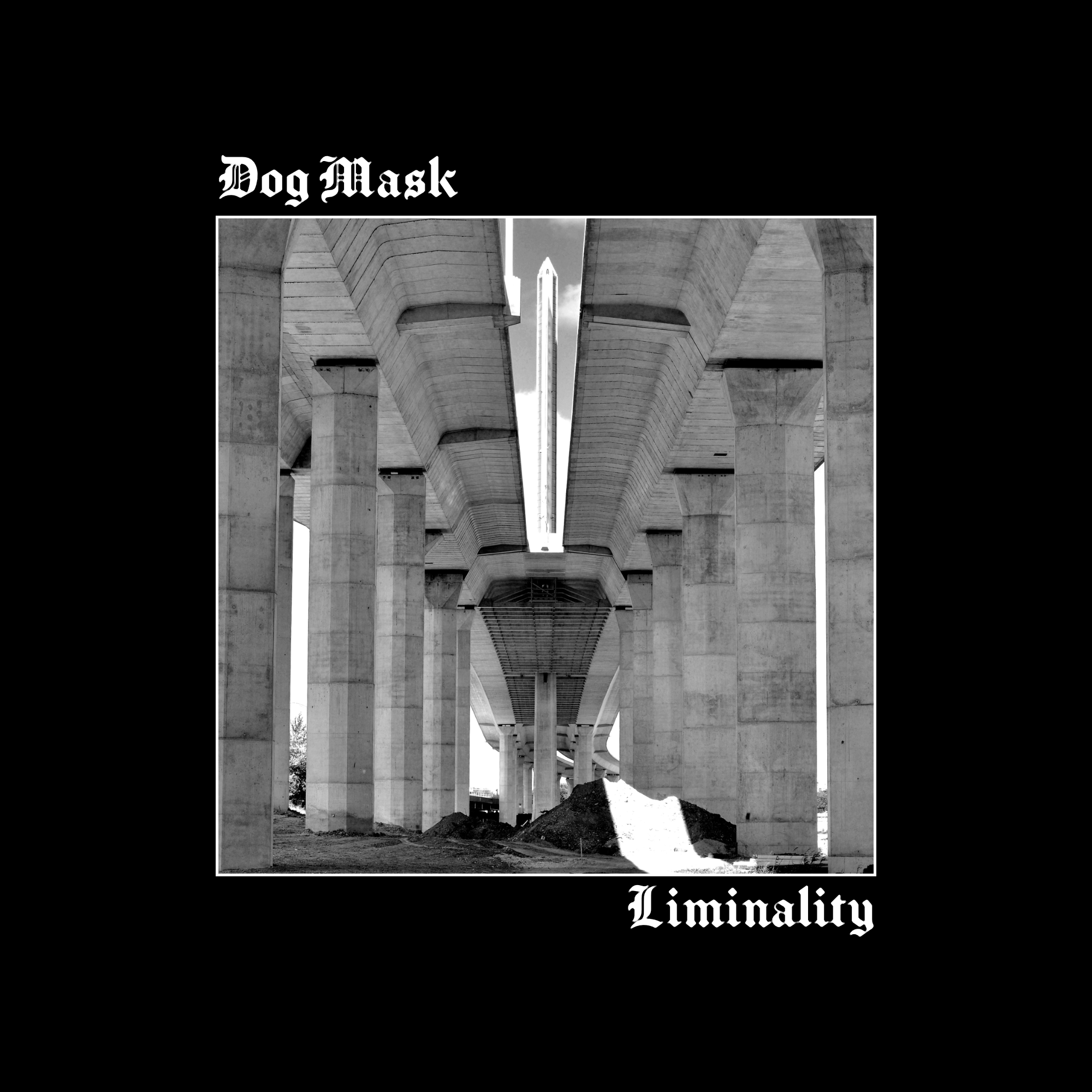 Dog Mask - Liminality Album Cover - Concept 10.png