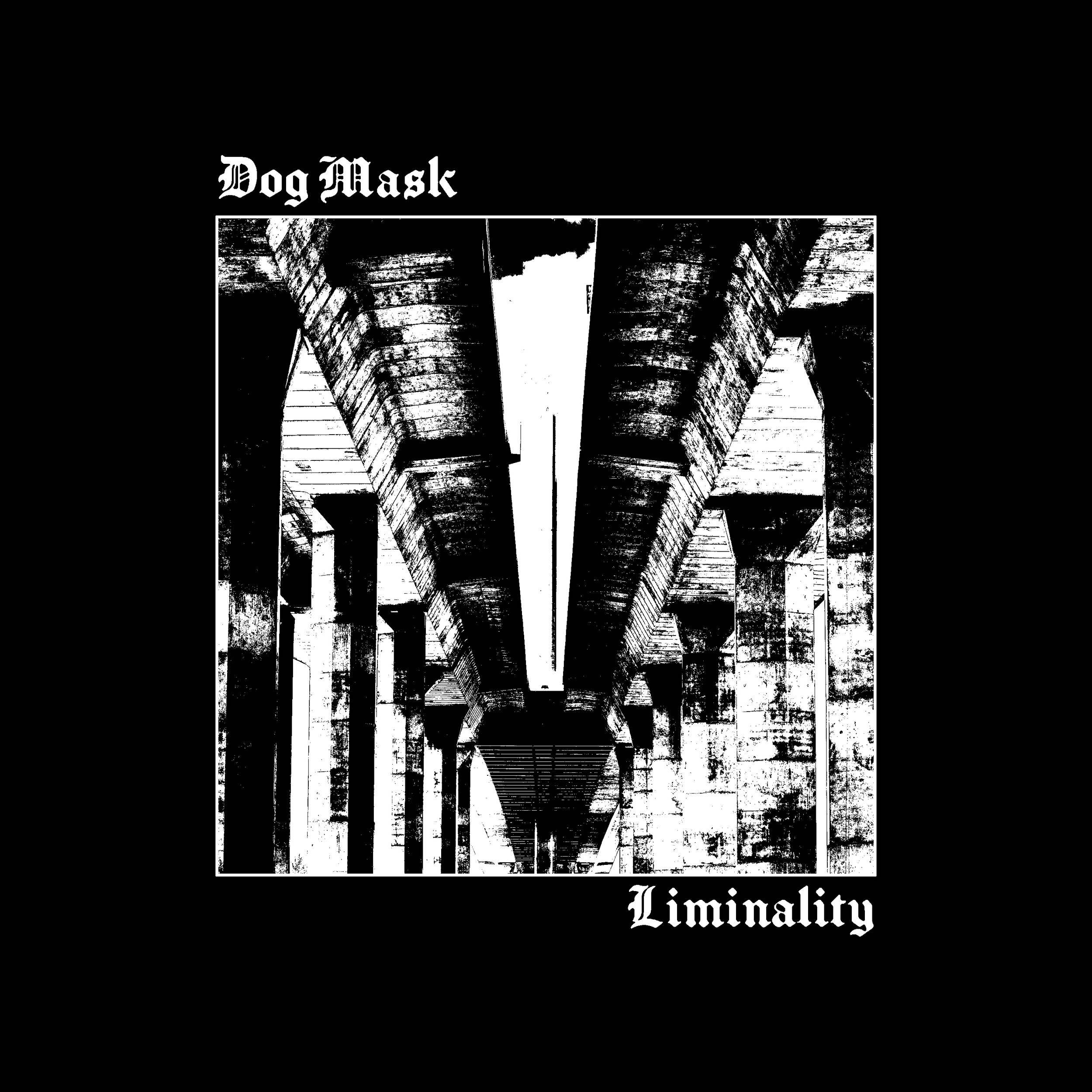 Dog Mask - Liminality Album Cover - Concept 13.png