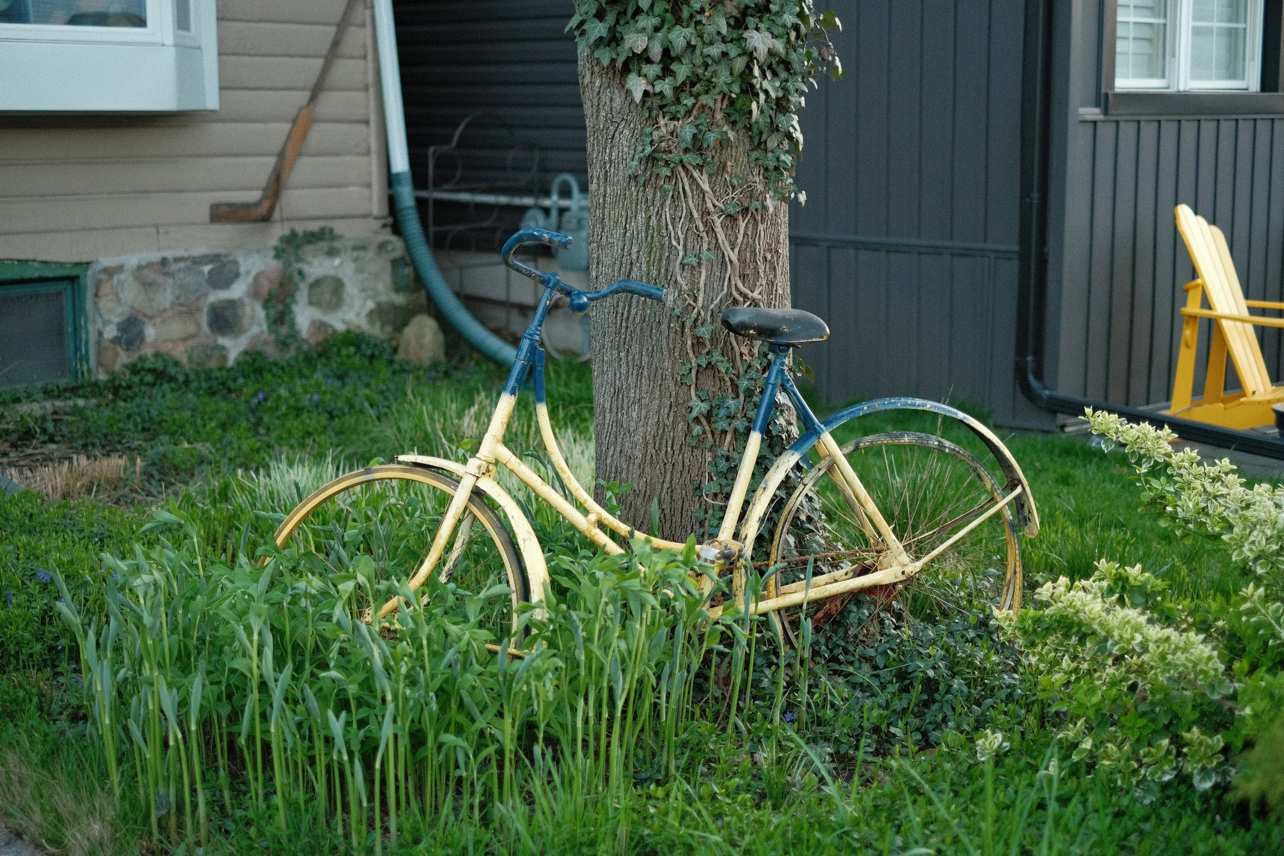 DSCF5135.jpg