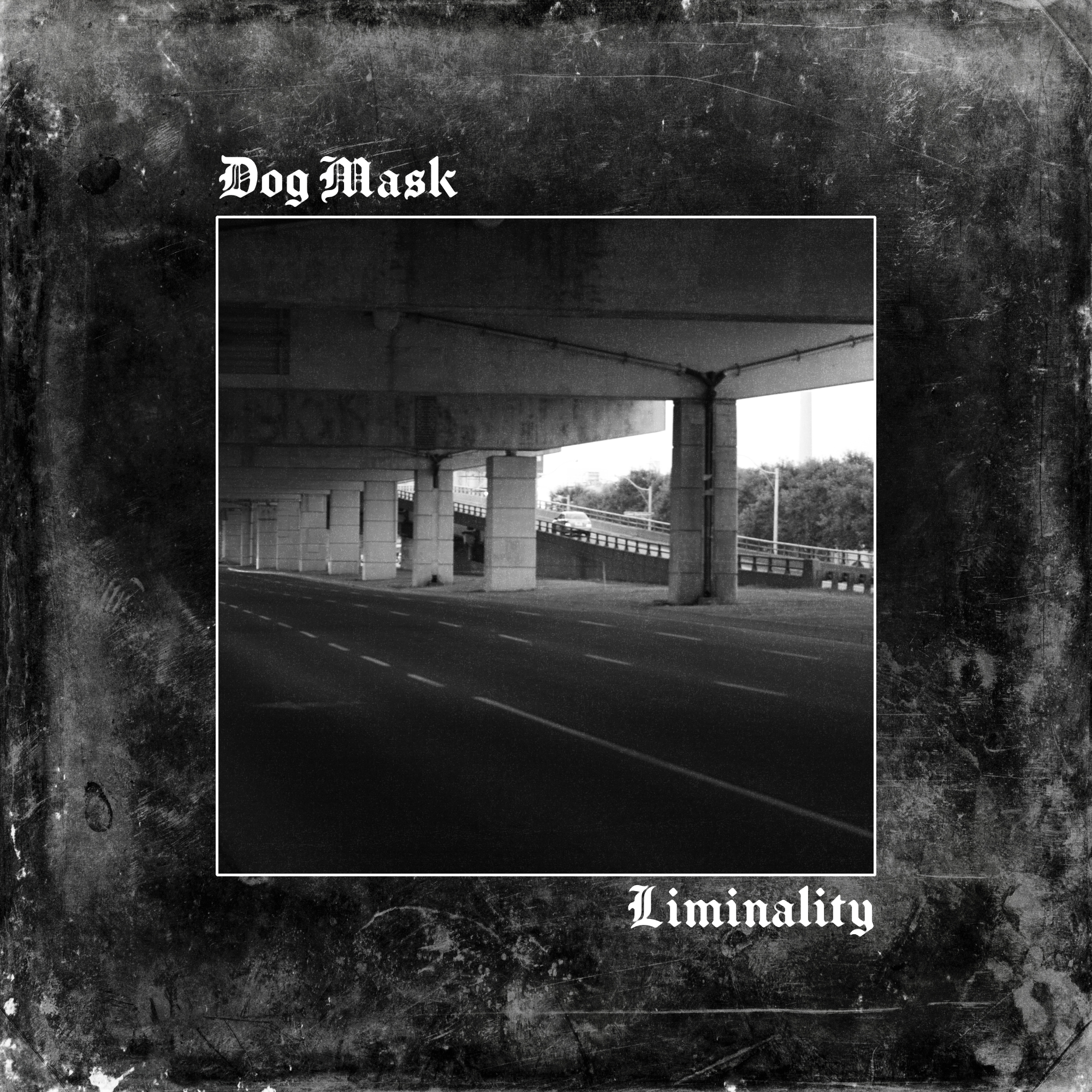 Dog Mask - Liminality Album Cover - Concept 1.png