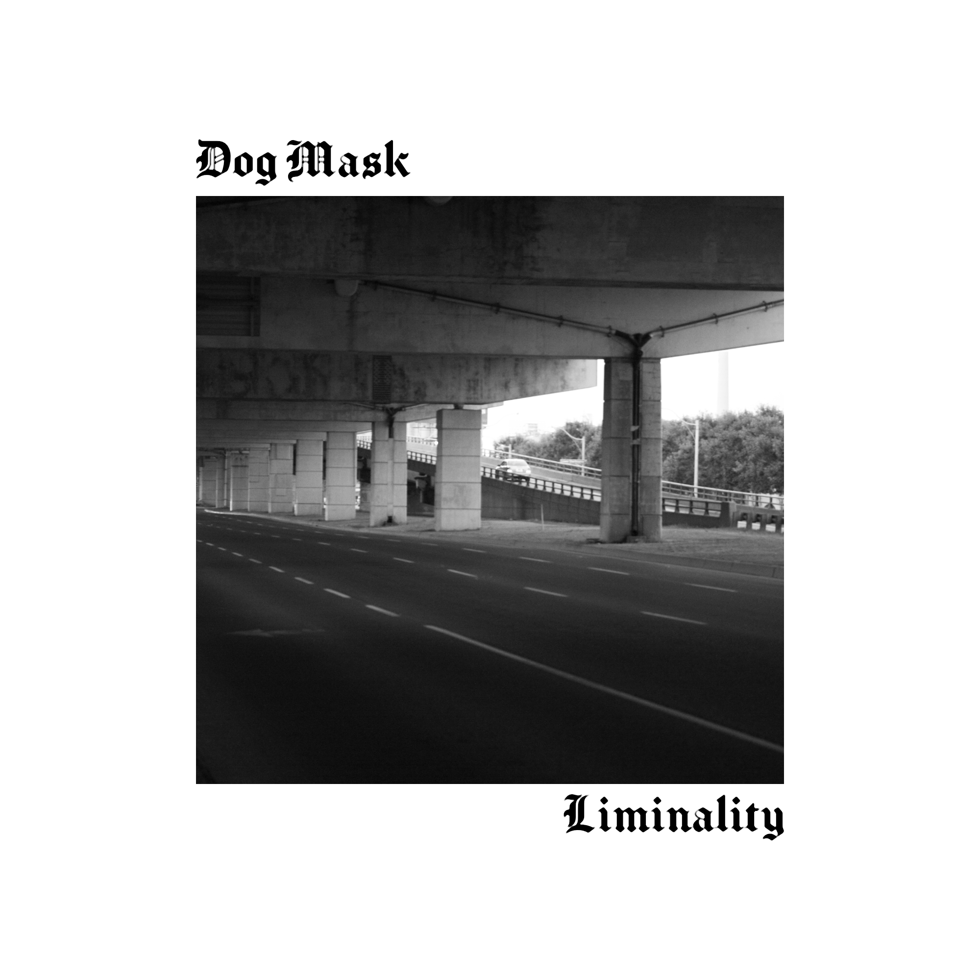 Dog Mask - Liminality Album Cover - Concept 6.png