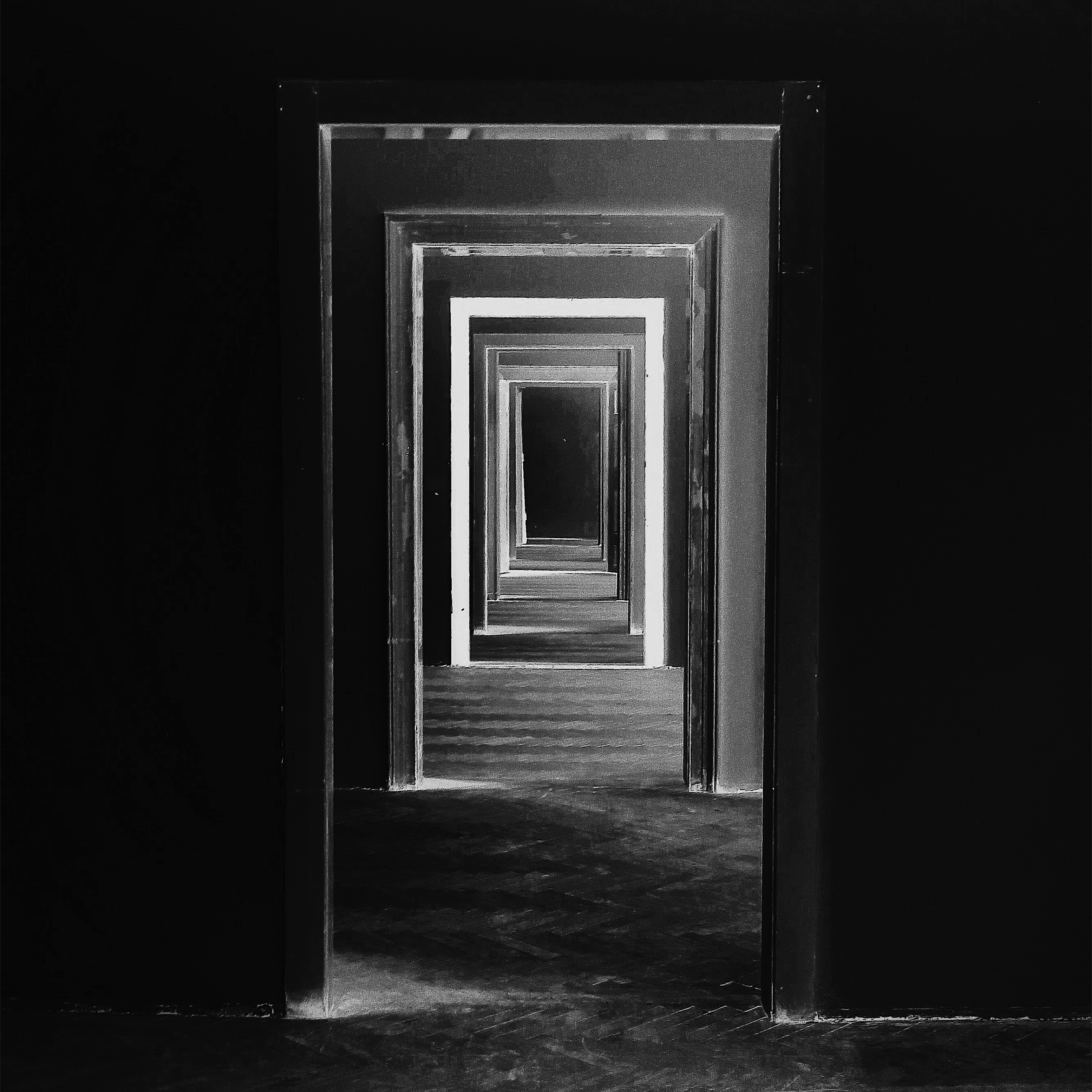 Dog Mask - Liminality Album Cover Concept 3.png