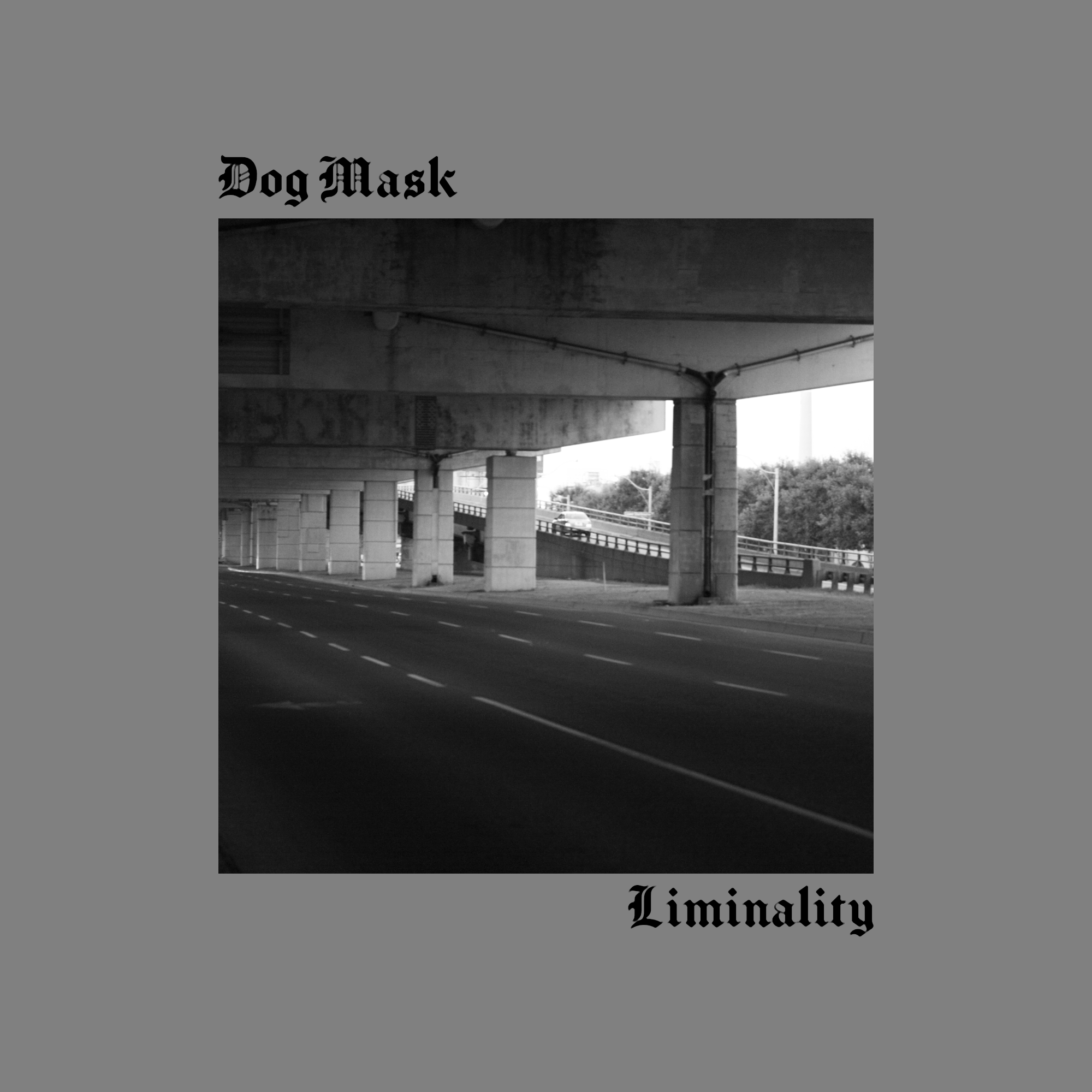 Dog Mask - Liminality Album Cover - Concept 3.png