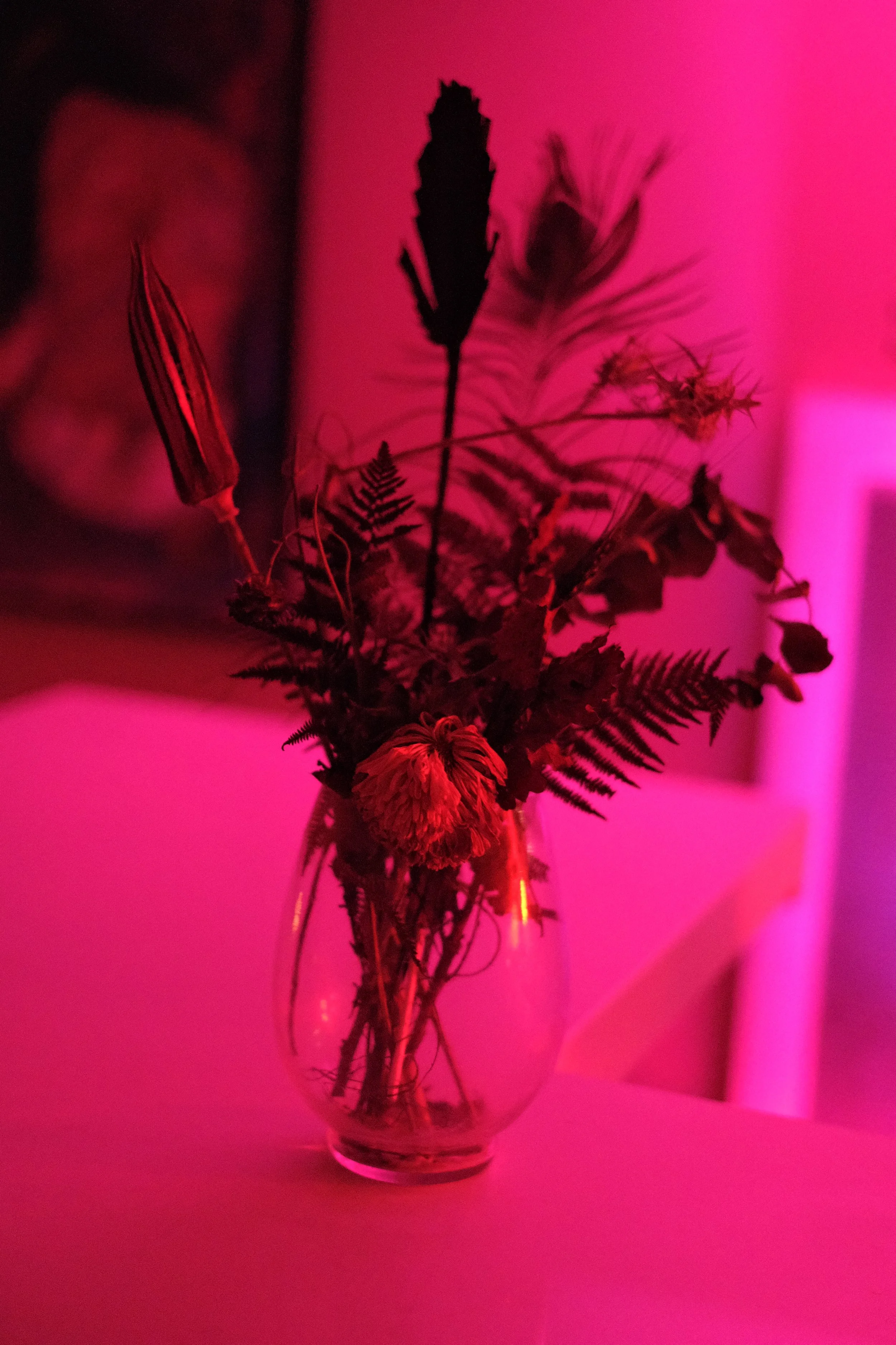 DSCF4888.jpg