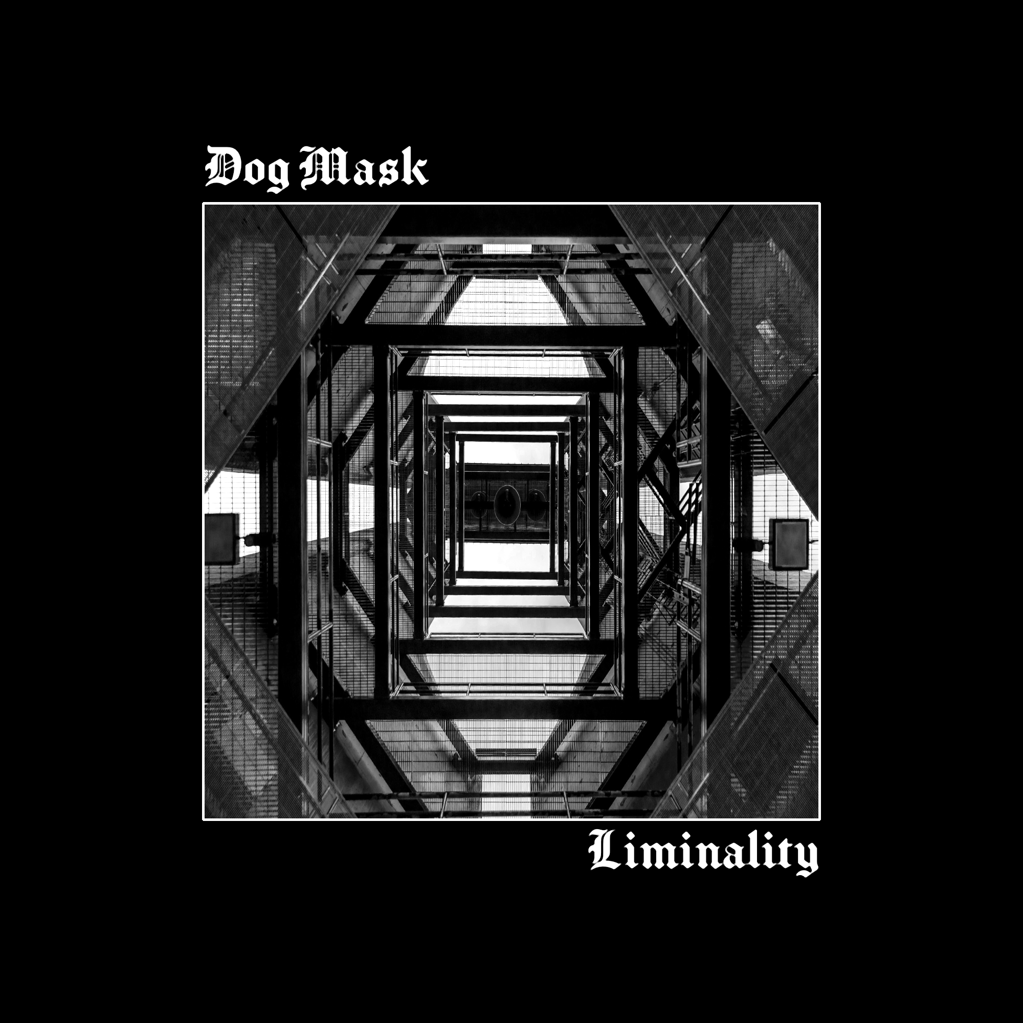 Dog Mask - Liminality Album Cover - Concept 9.png