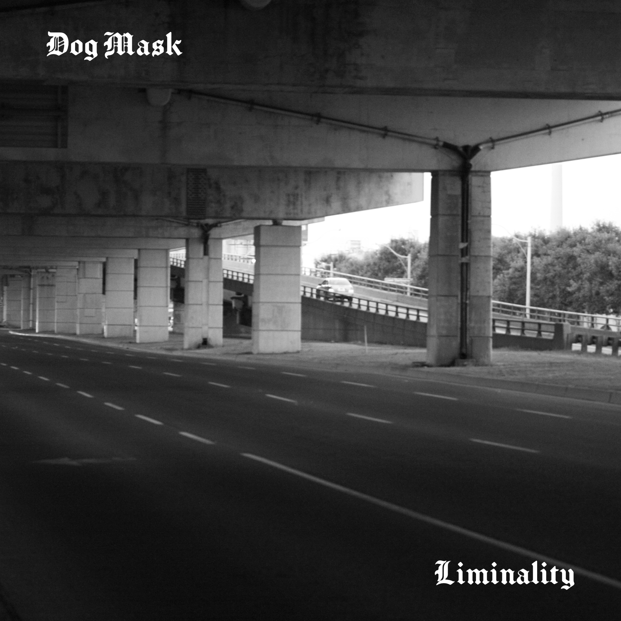 Dog Mask - Liminality Album Cover - Concept 8.png