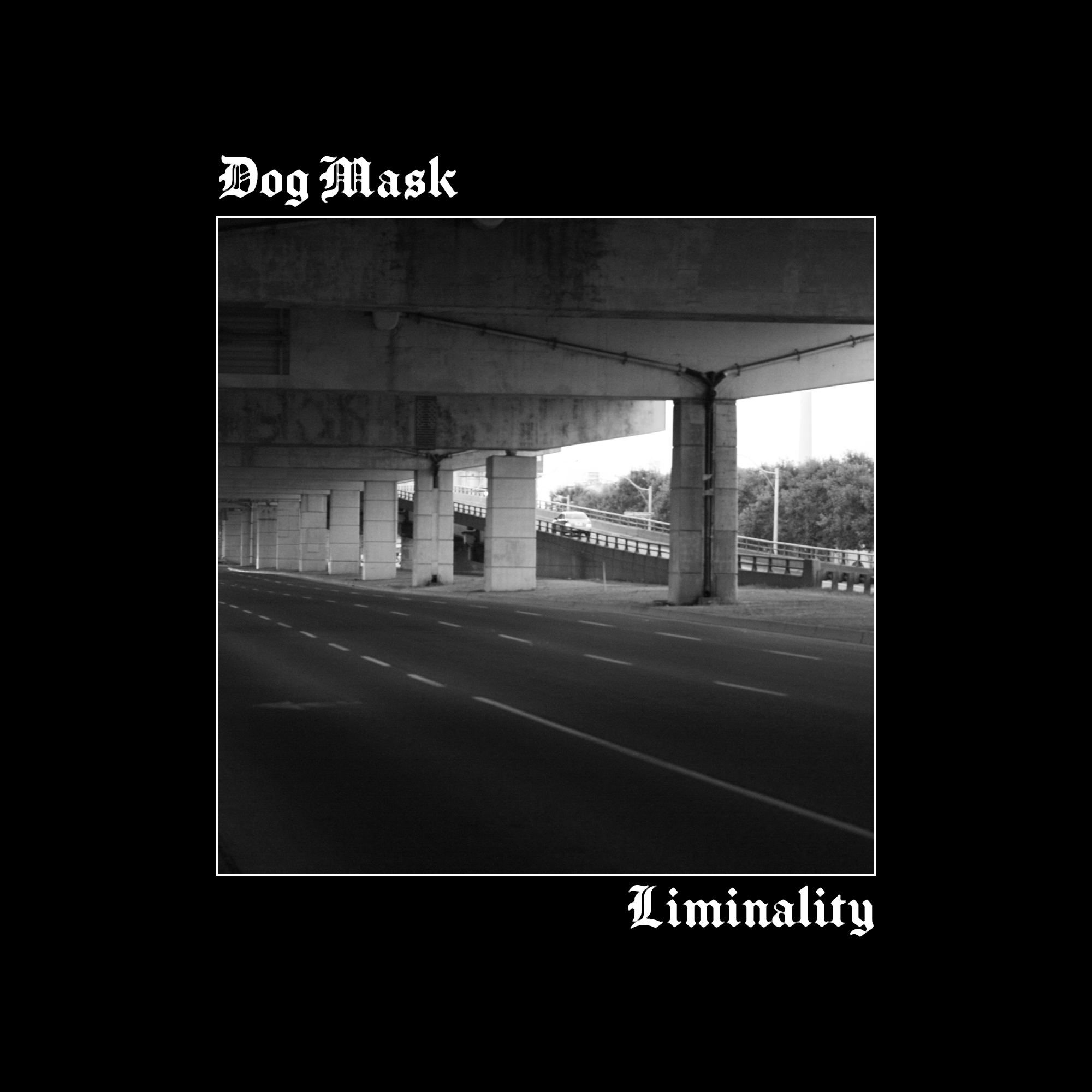 Dog Mask - Liminality Album Cover - Concept 7.png