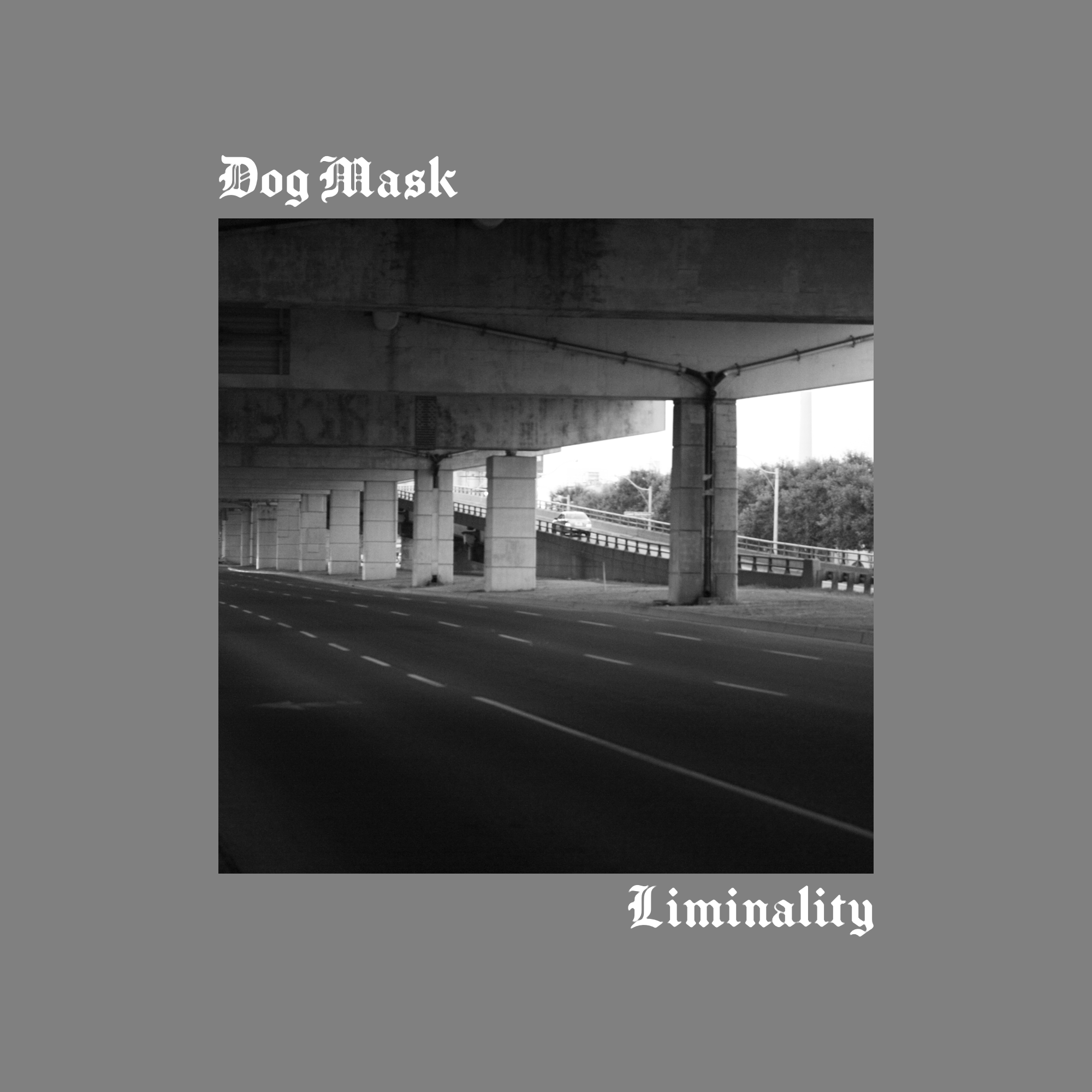 Dog Mask - Liminality Album Cover - Concept 5.png