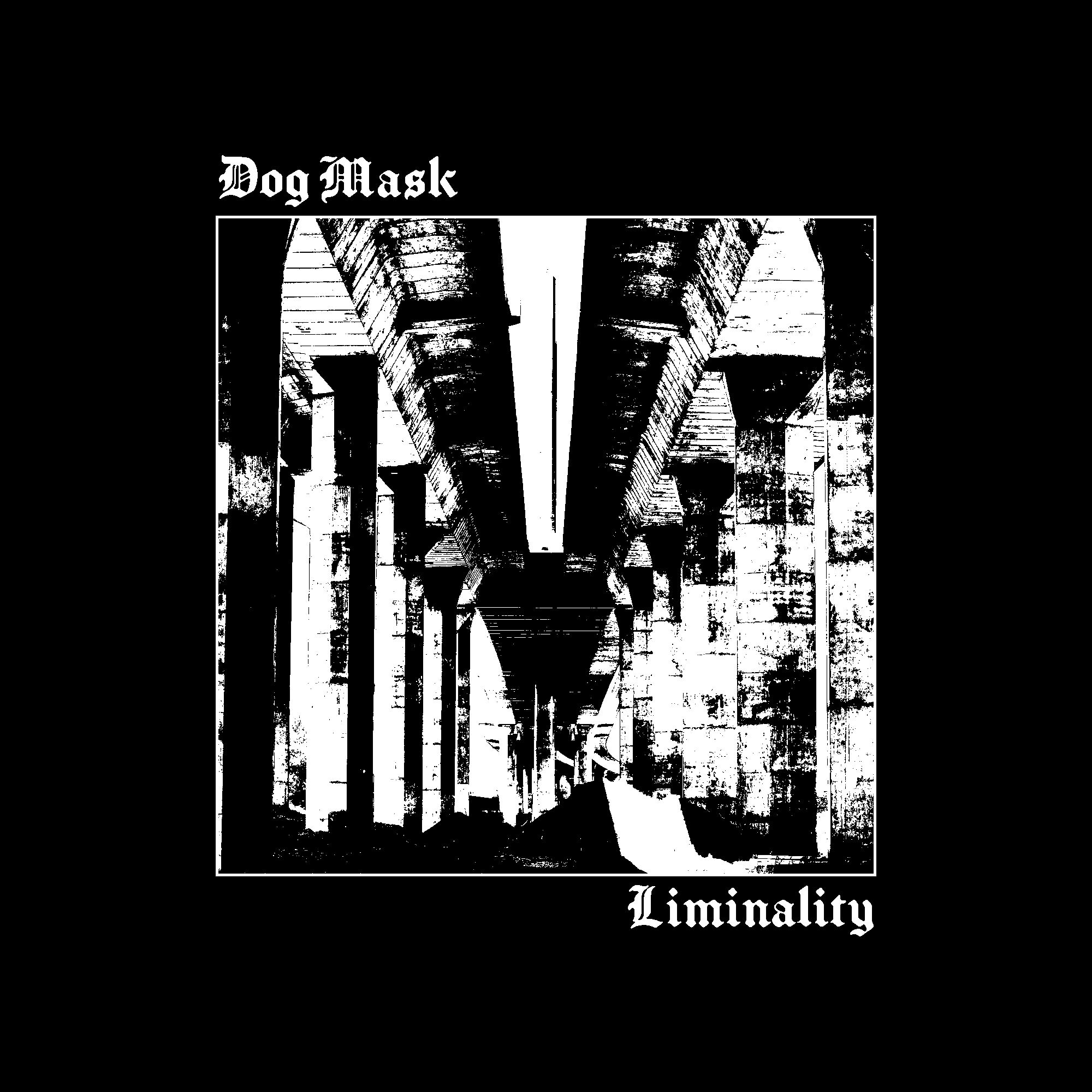 Dog Mask - Liminality Album Cover - Concept 11.png
