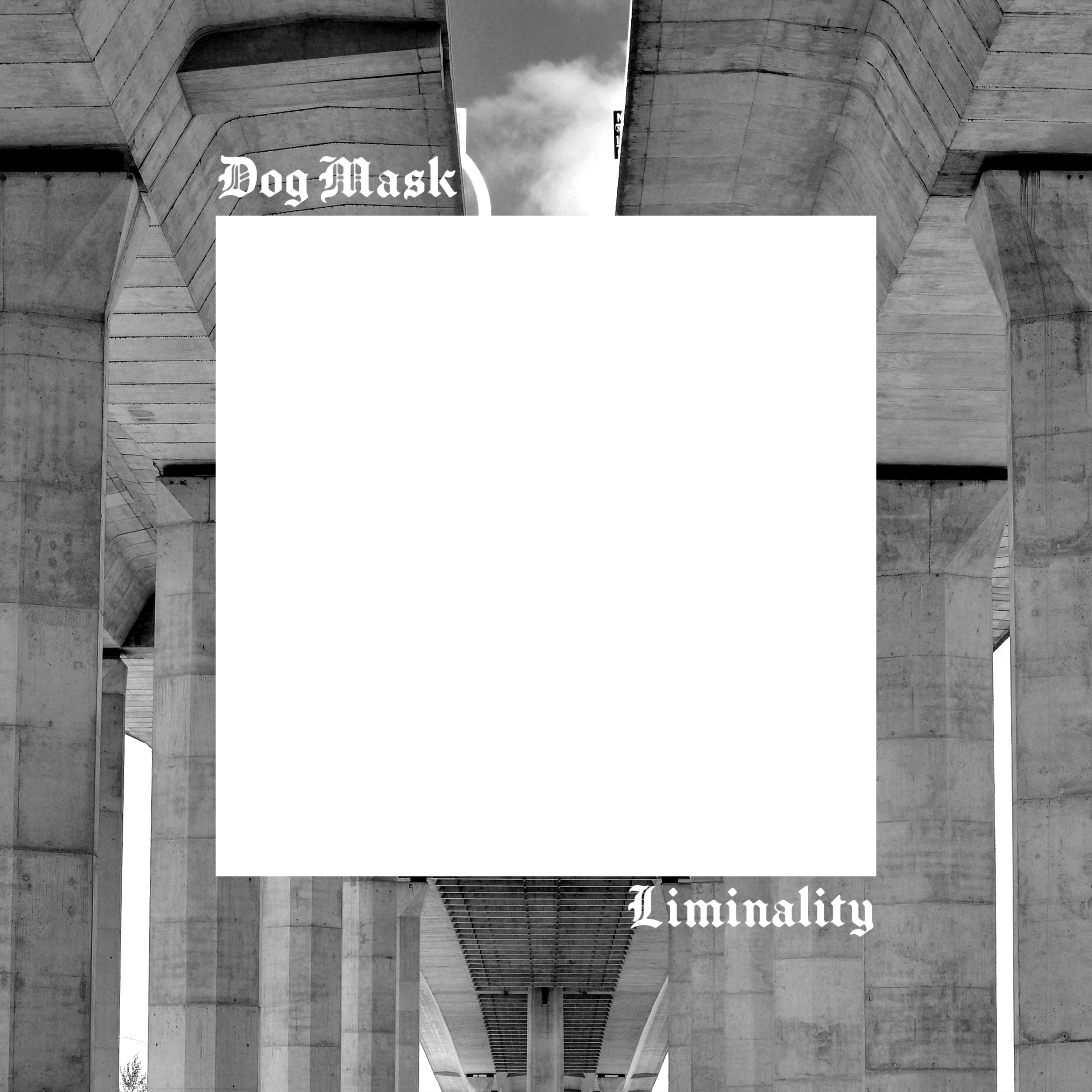 Dog Mask - Liminality Album Cover - Concept 14.png