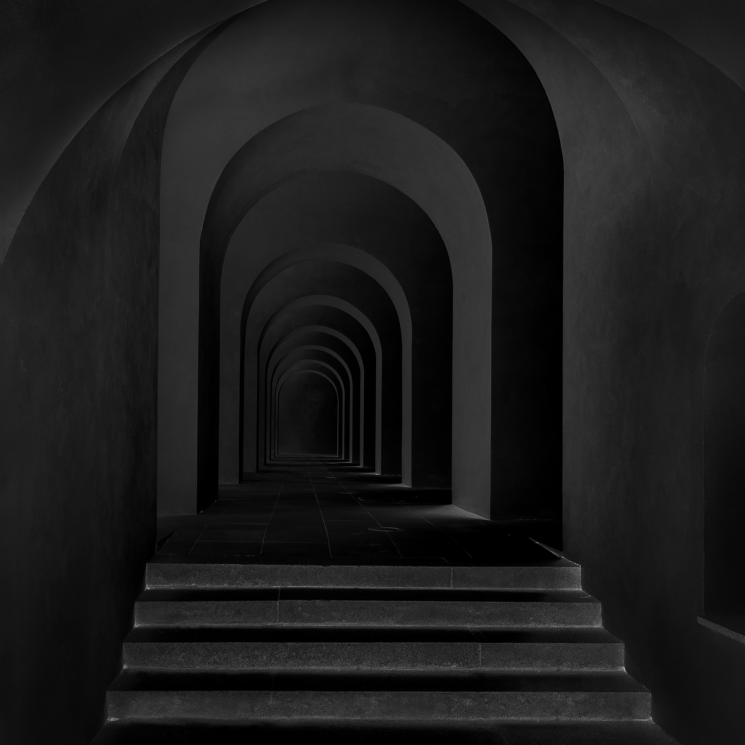 Dog Mask - Liminality Album Cover Concept 2.png