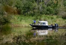 A motorboat carrying several people sits on a calm river bordered by reeds and dense green forest.