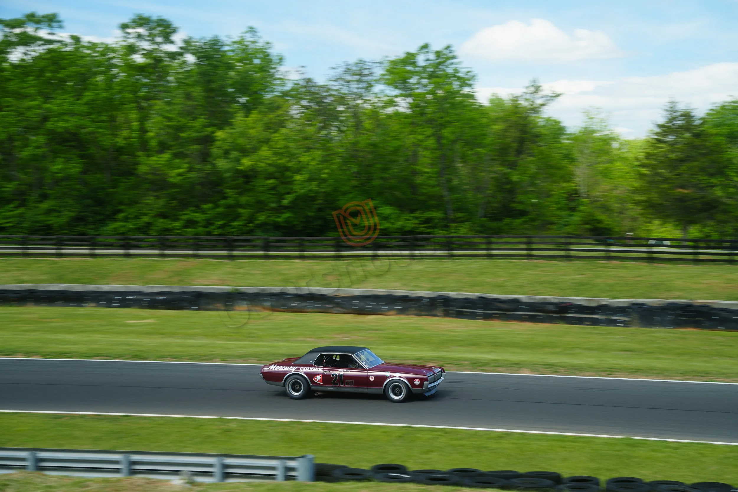 DSC01699.jpg