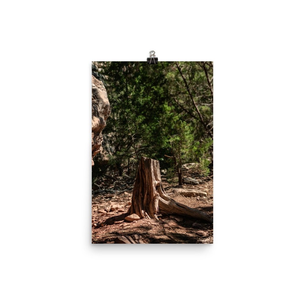 enhanced-matte-paper-poster-(in)-12x18-transparent-66ac4f127ff0e.jpg