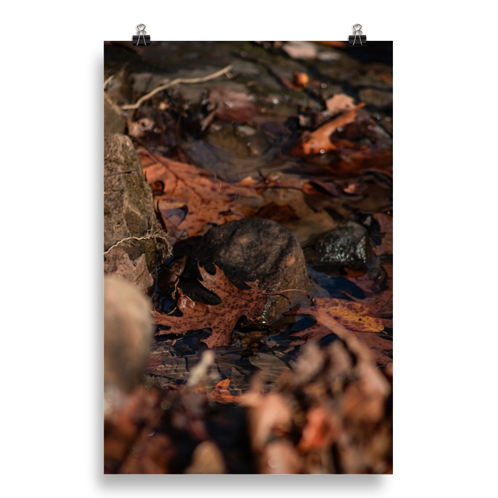 enhanced-matte-paper-poster-(in)-20x30-transparent-66ac51268464a.jpg