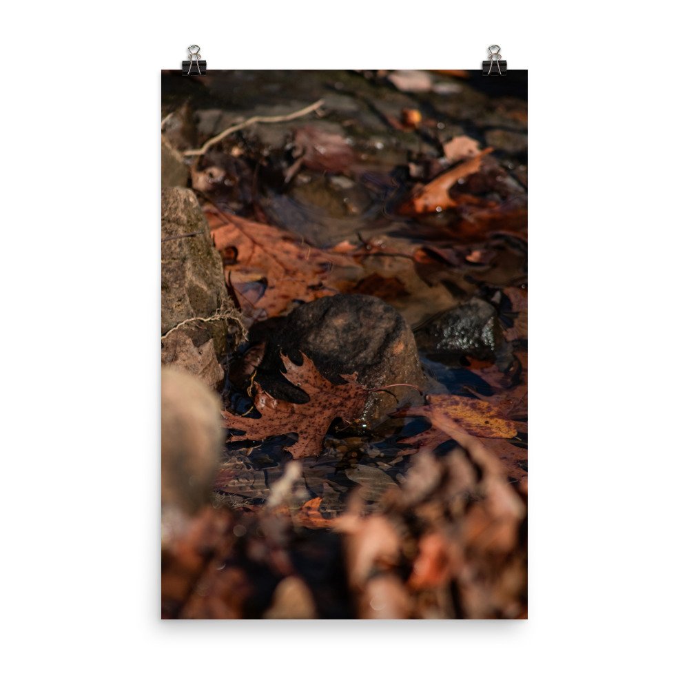 enhanced-matte-paper-poster-(in)-24x36-transparent-66ac512685611.jpg