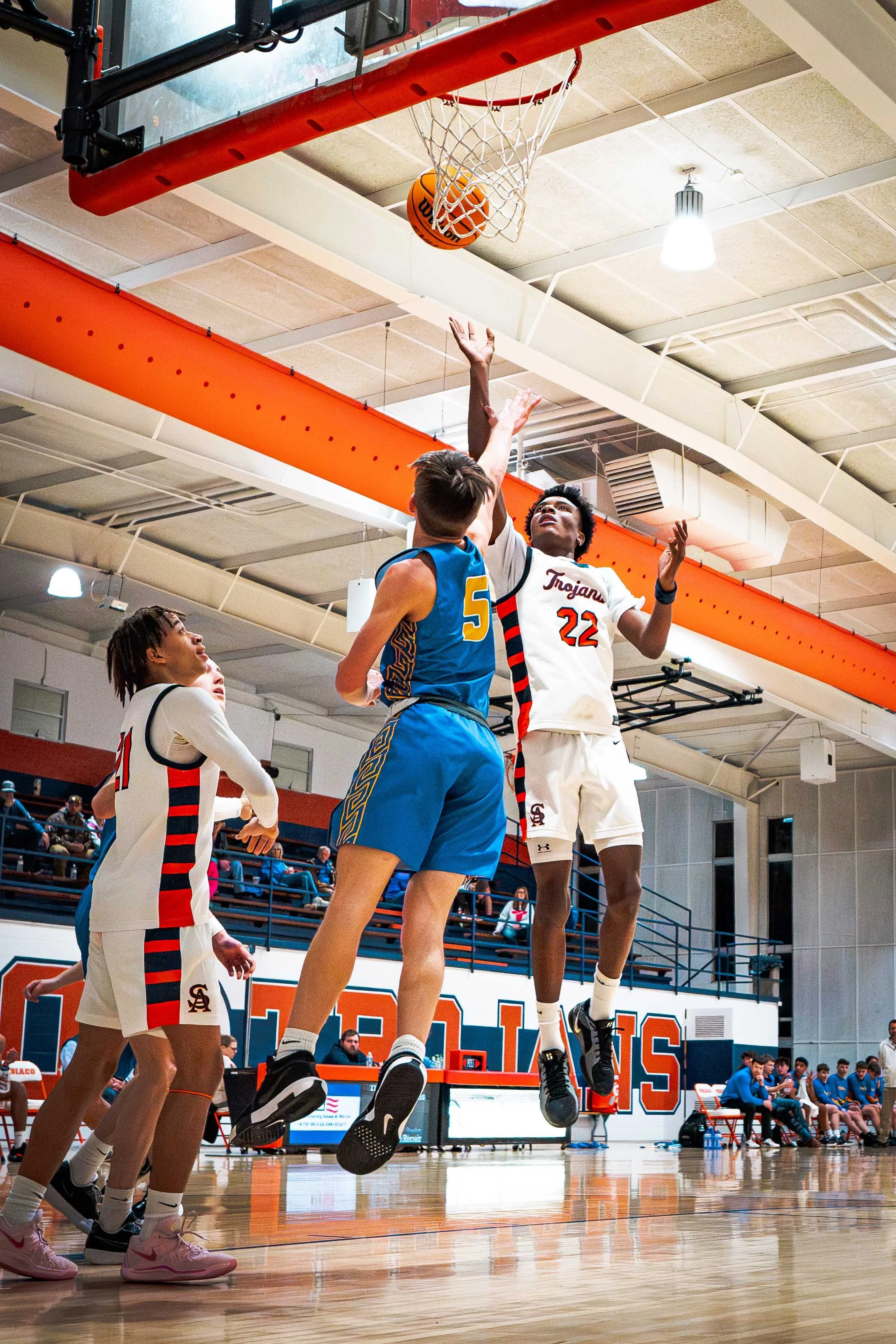 SN Poster Action Shots-03.jpg