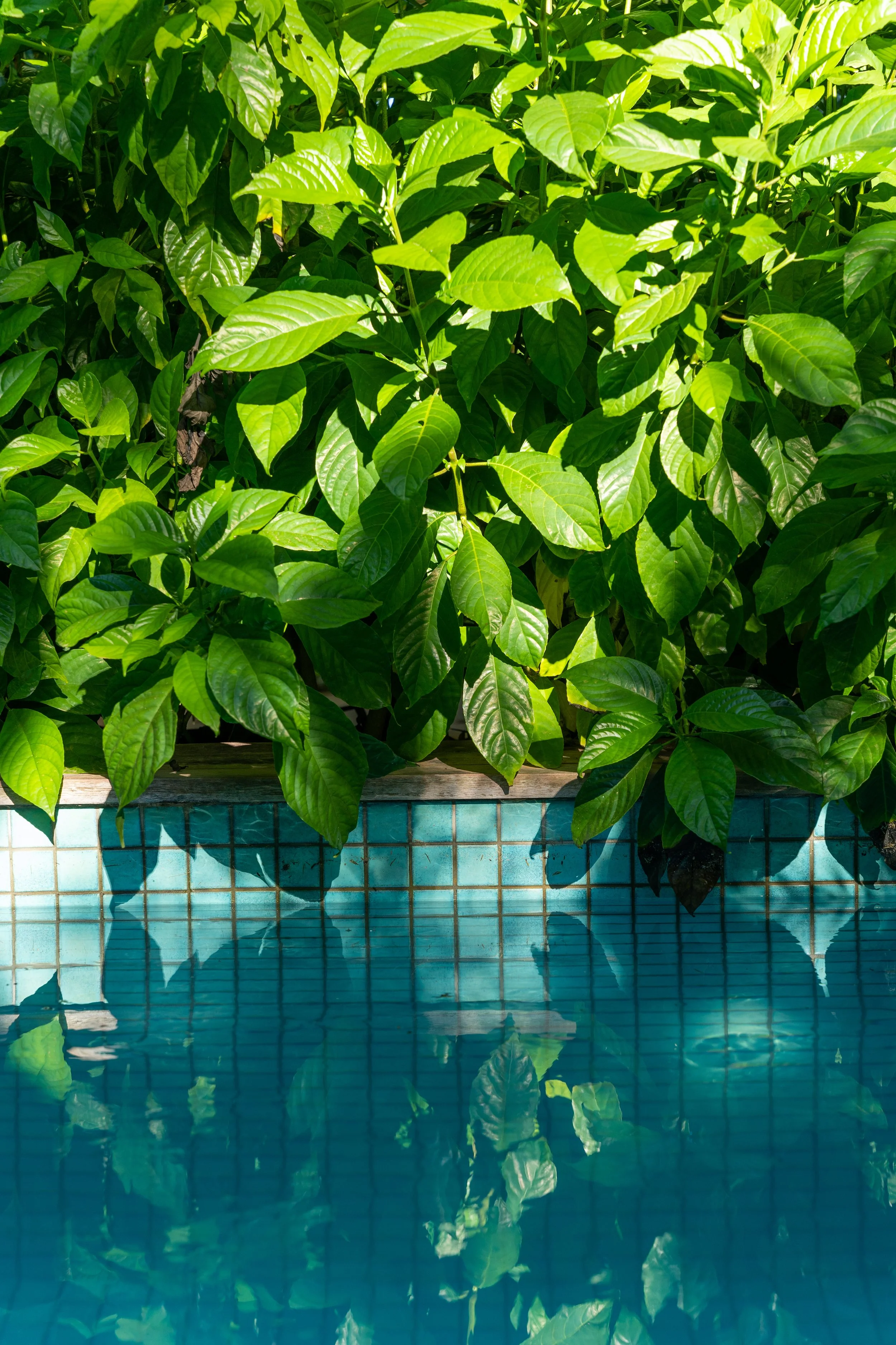 Nampur - Juliana Sícoli_-86.jpg