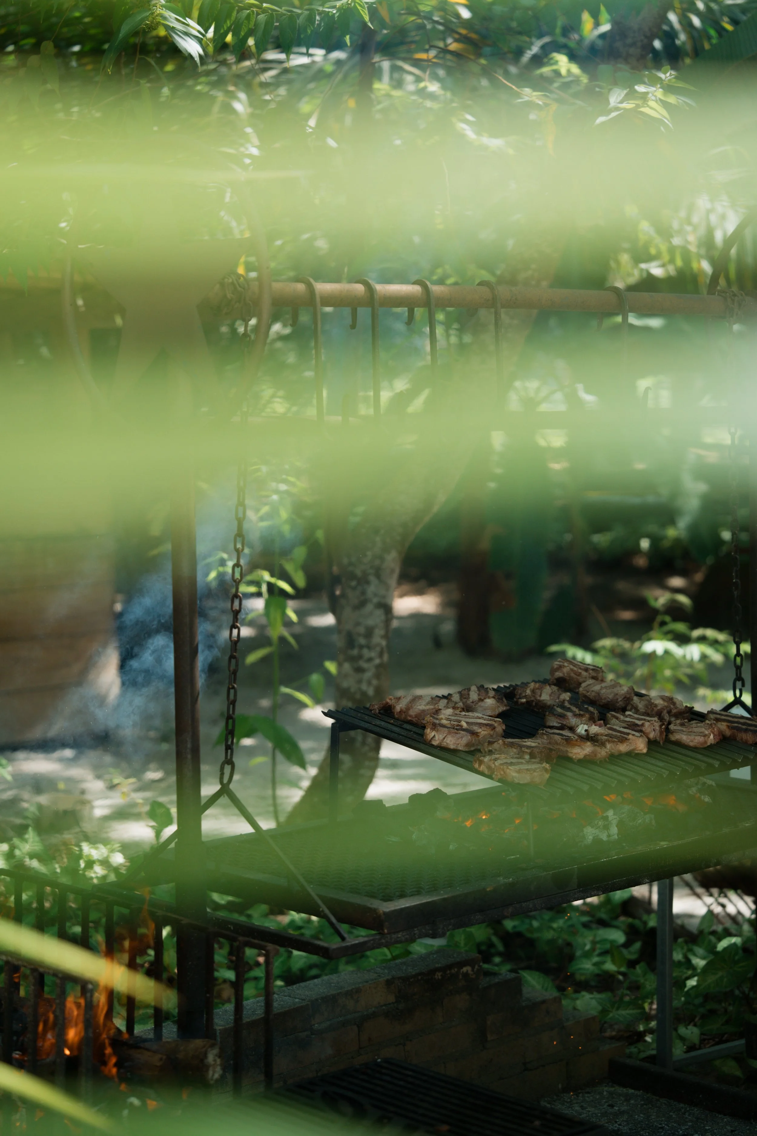 OF2024 SAB20 Floresta  - THEO BUENO_-61.jpg