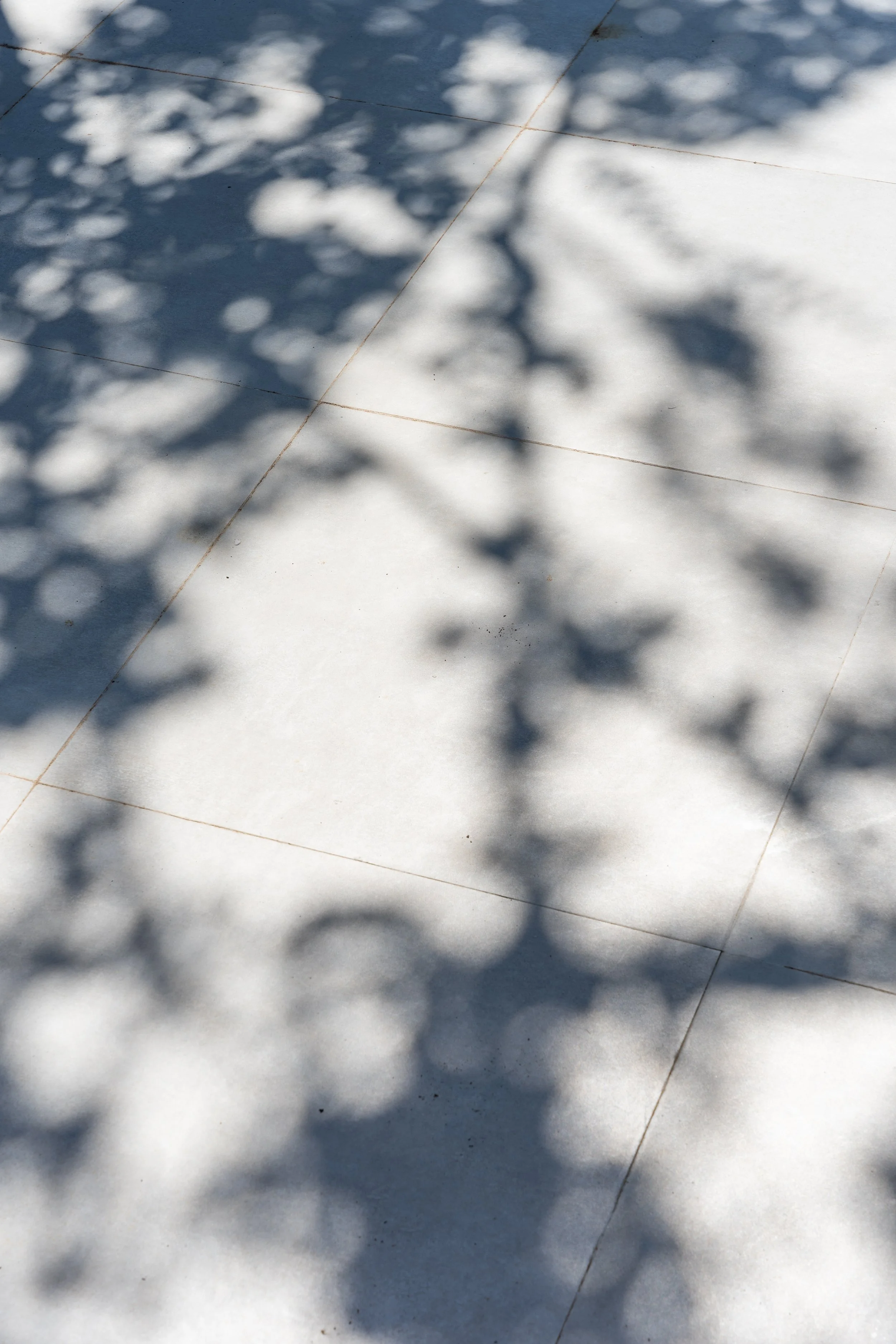 Nampur - Juliana Sícoli_-302.jpg