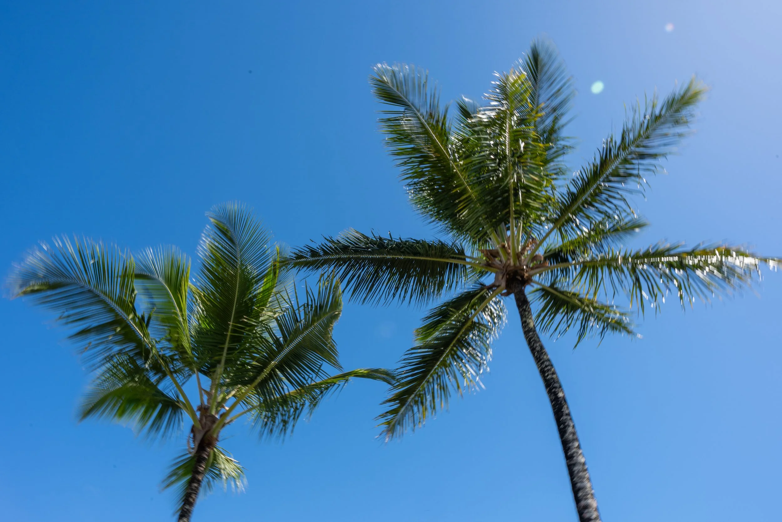 Nampur - Juliana Sícoli_-297.jpg