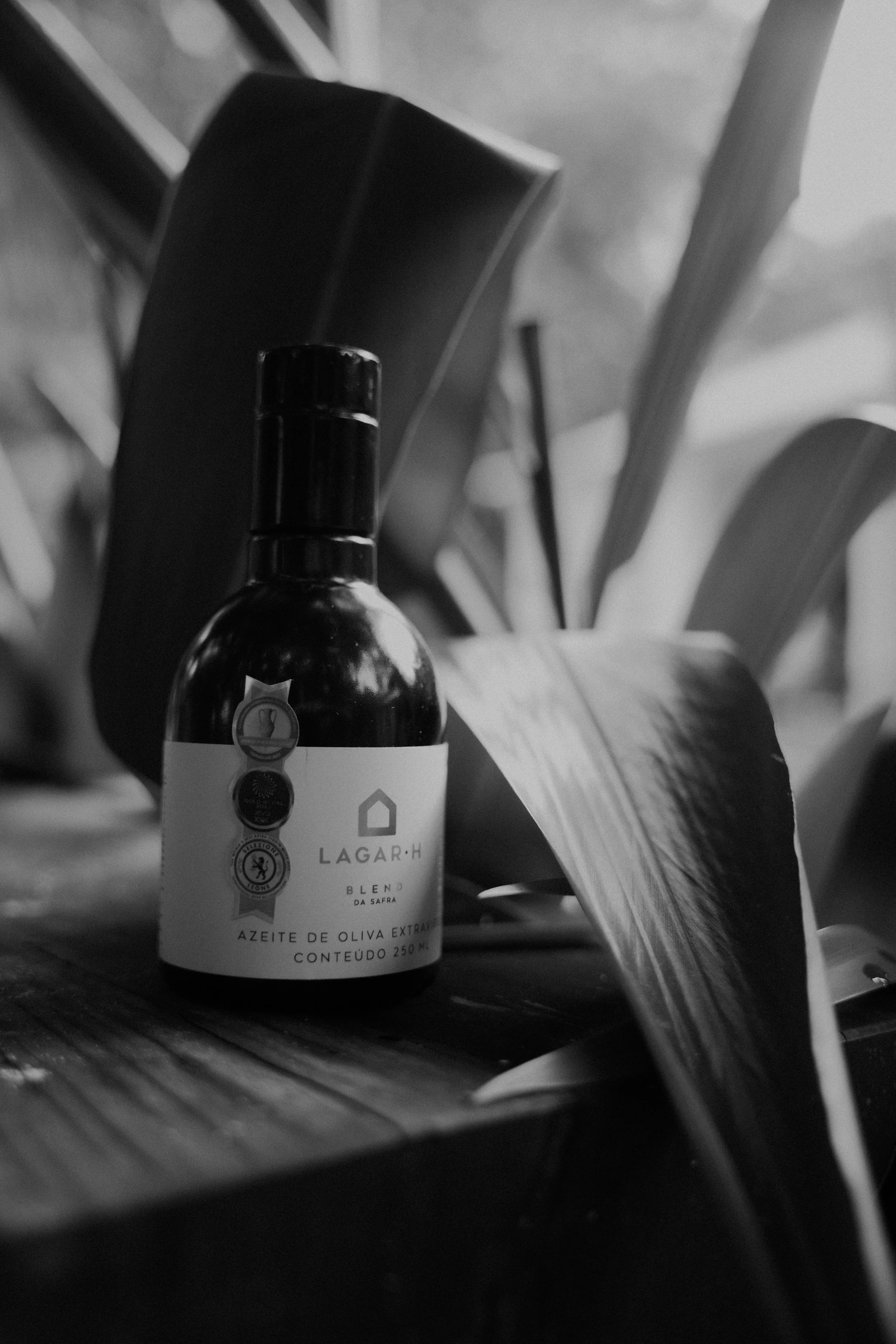 OF2024 QUI18 MARE - THEO BUENO_-106.jpg