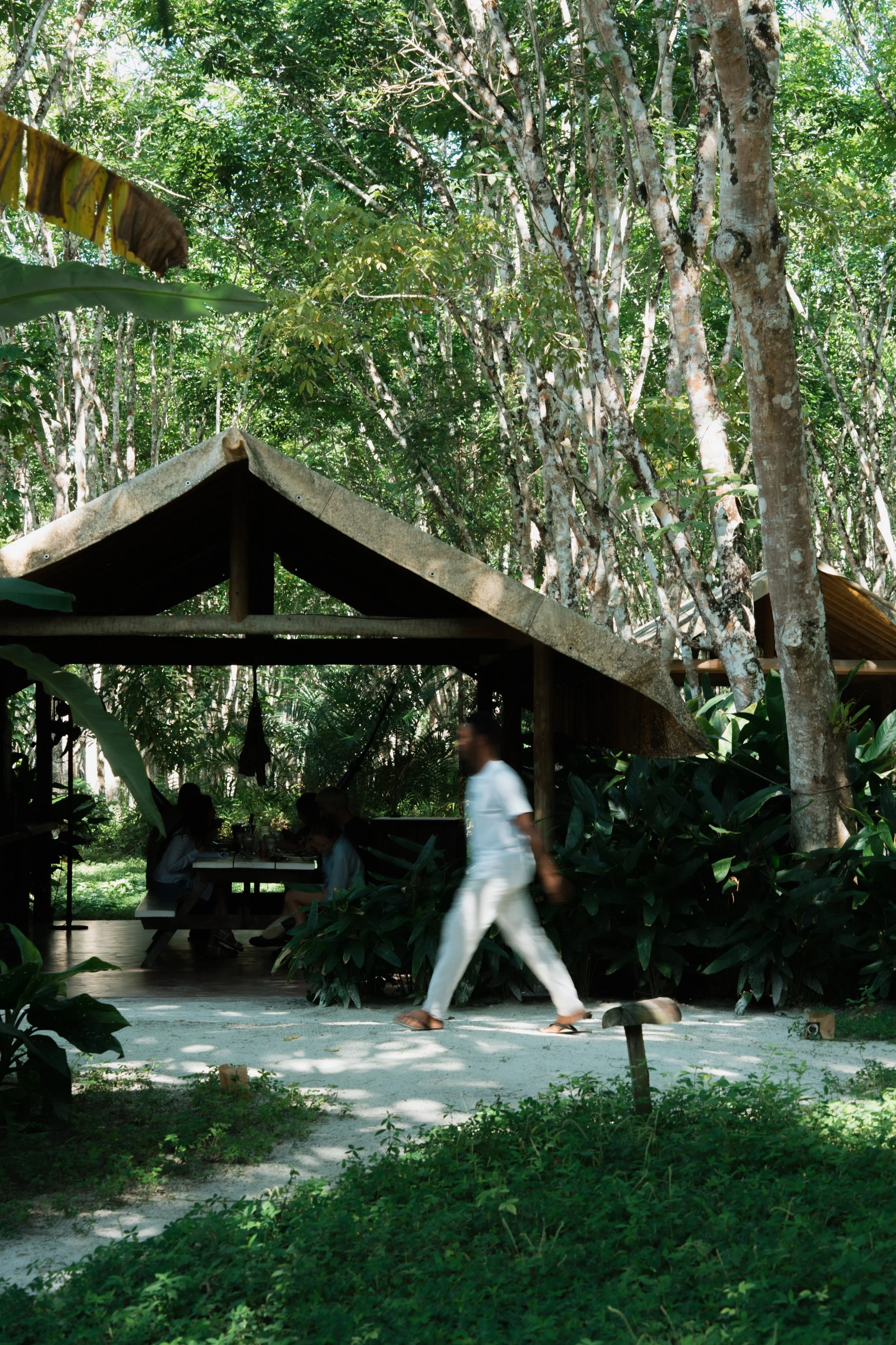 OF2024 SAB20 Floresta  - THEO BUENO_-75.jpg