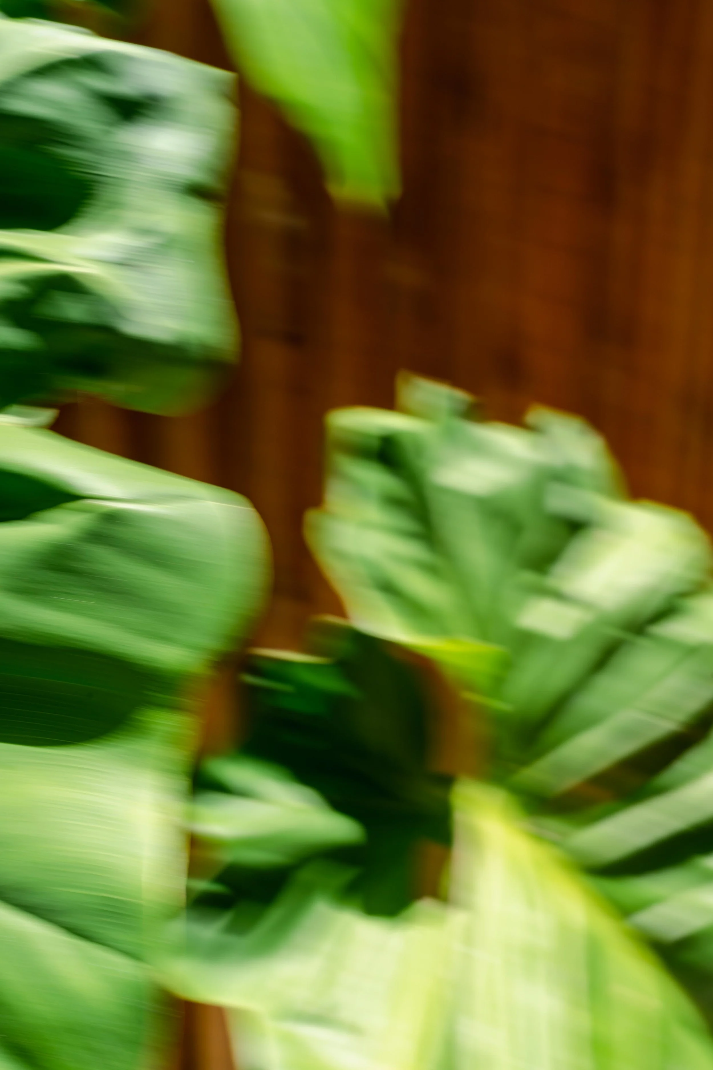 Terra Trancoso_-167.jpg