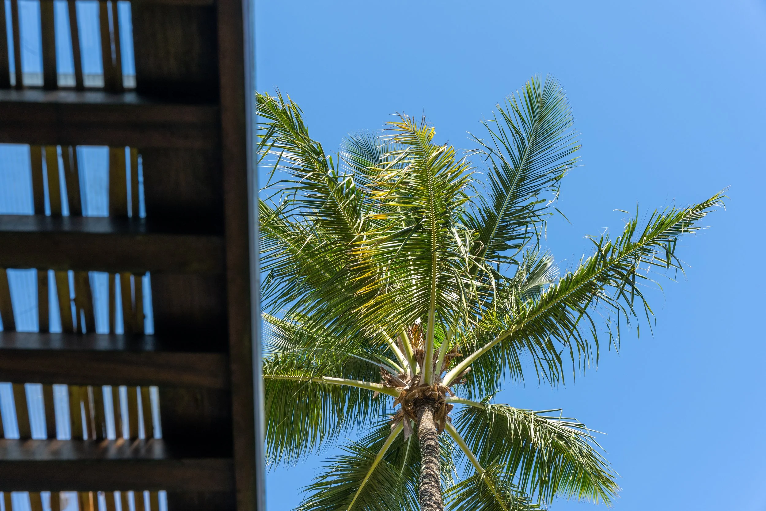 Nampur - Juliana Sícoli_-176.jpg