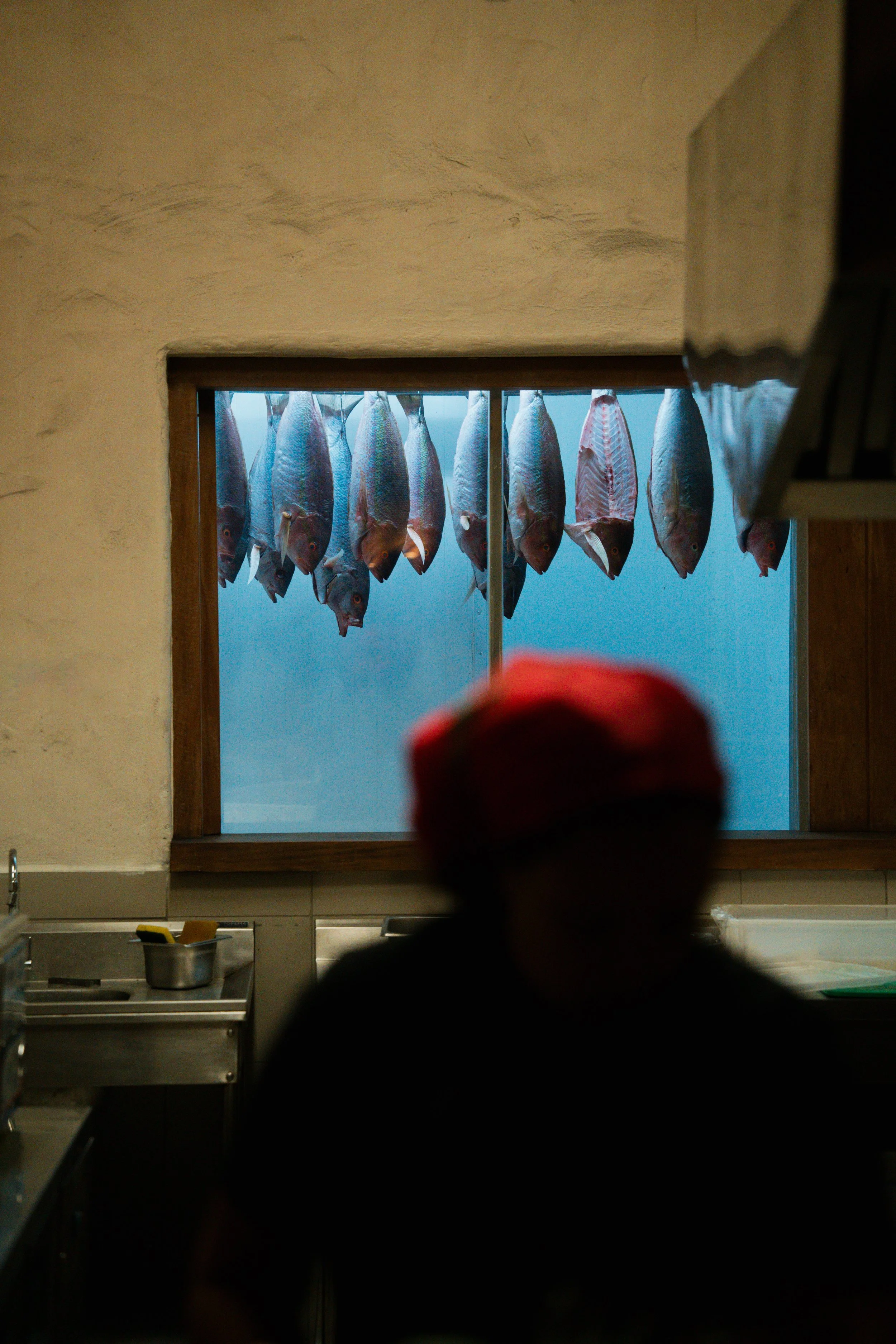 OF2024 QUI18 ALMAR - THEO BUENO_-188.jpg