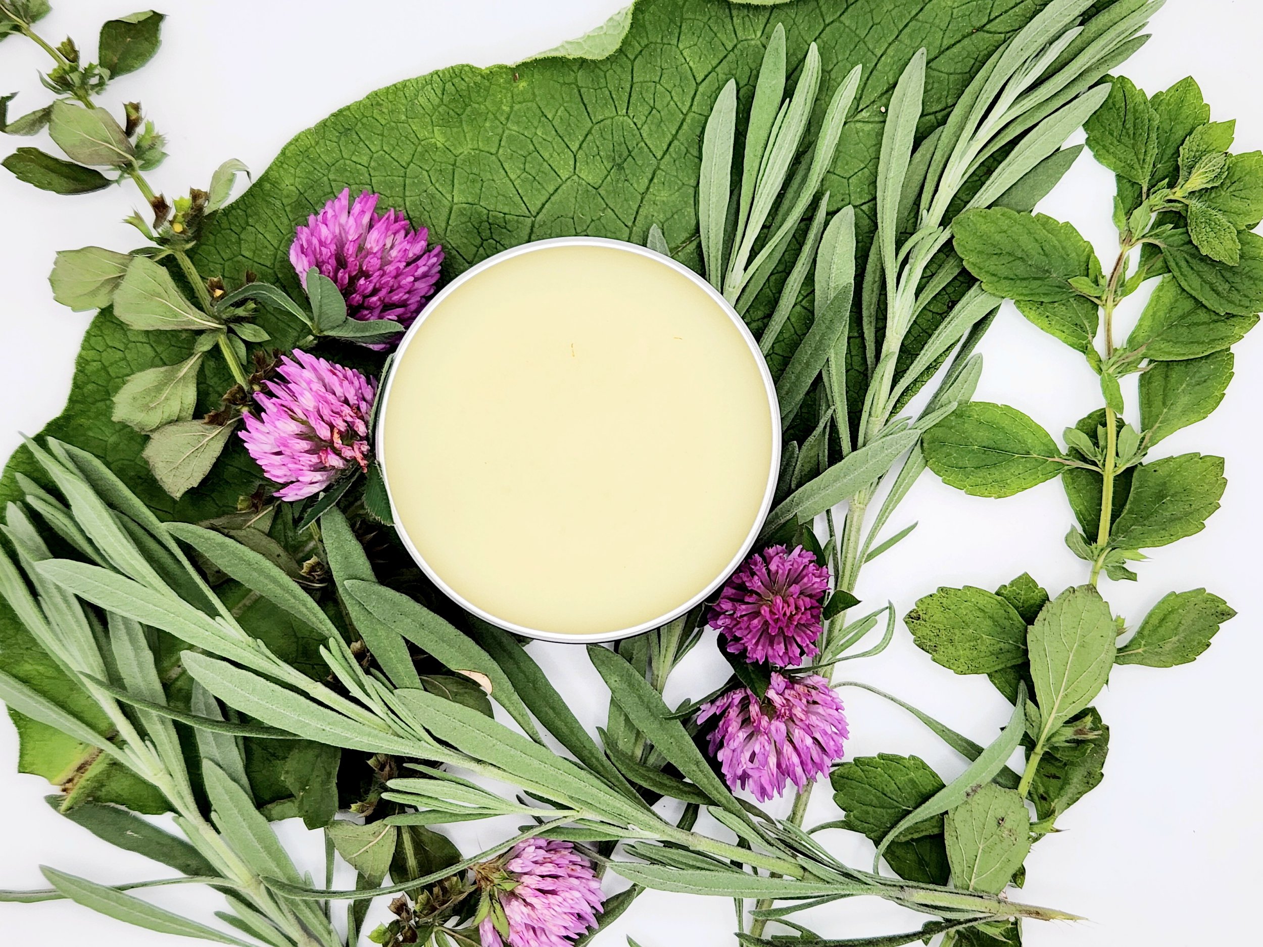 Herbal Wound Salve