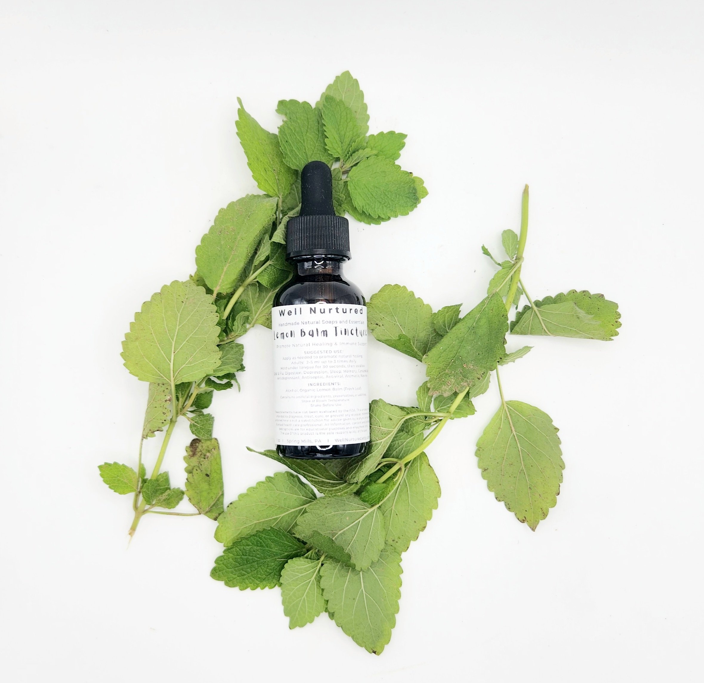 Lemon Balm