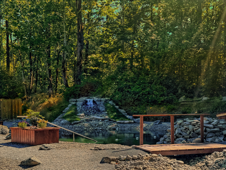 SL_11_site_pond_bridge.png