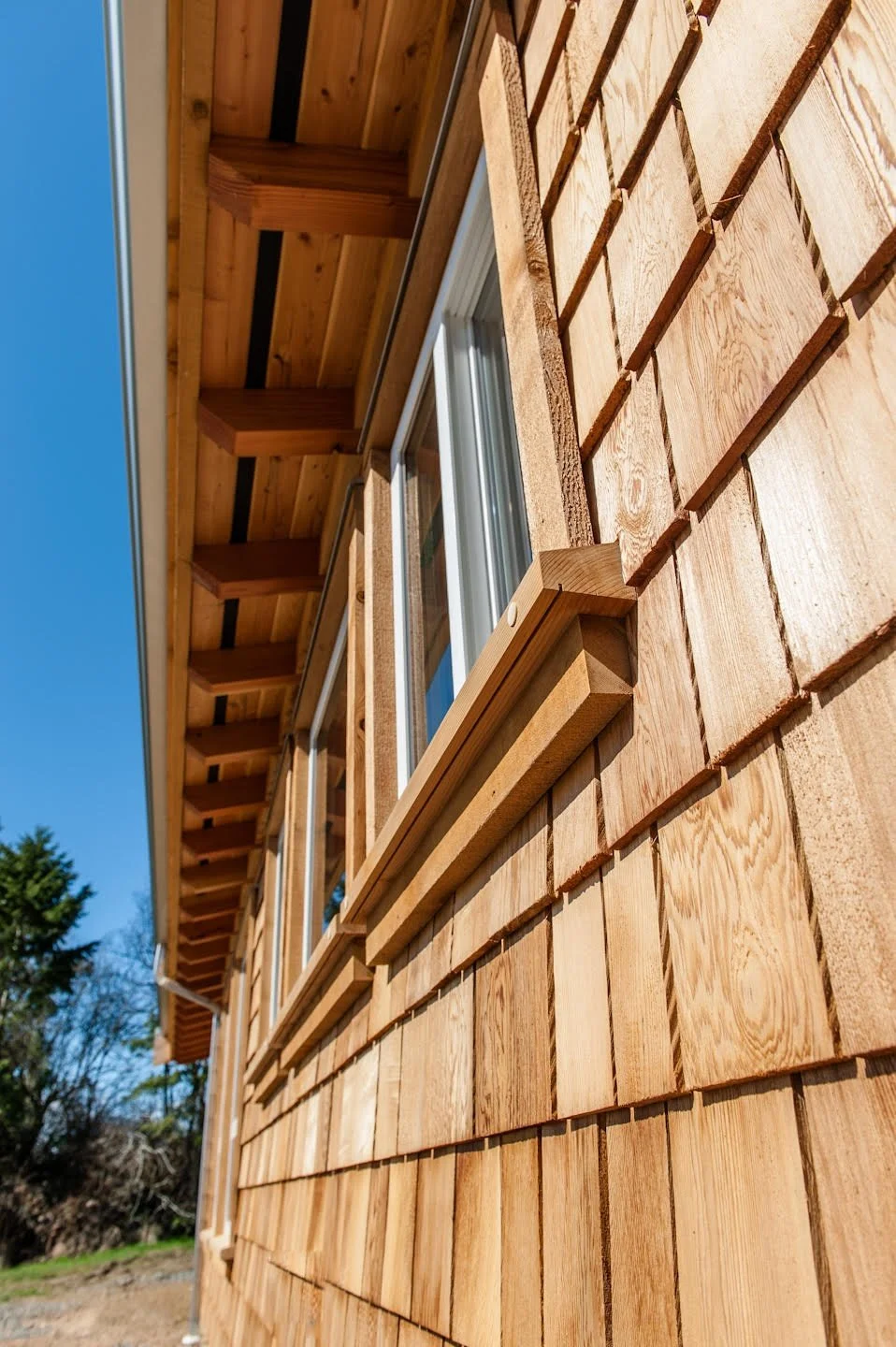 WP_11_window_trim_fixed.jpg