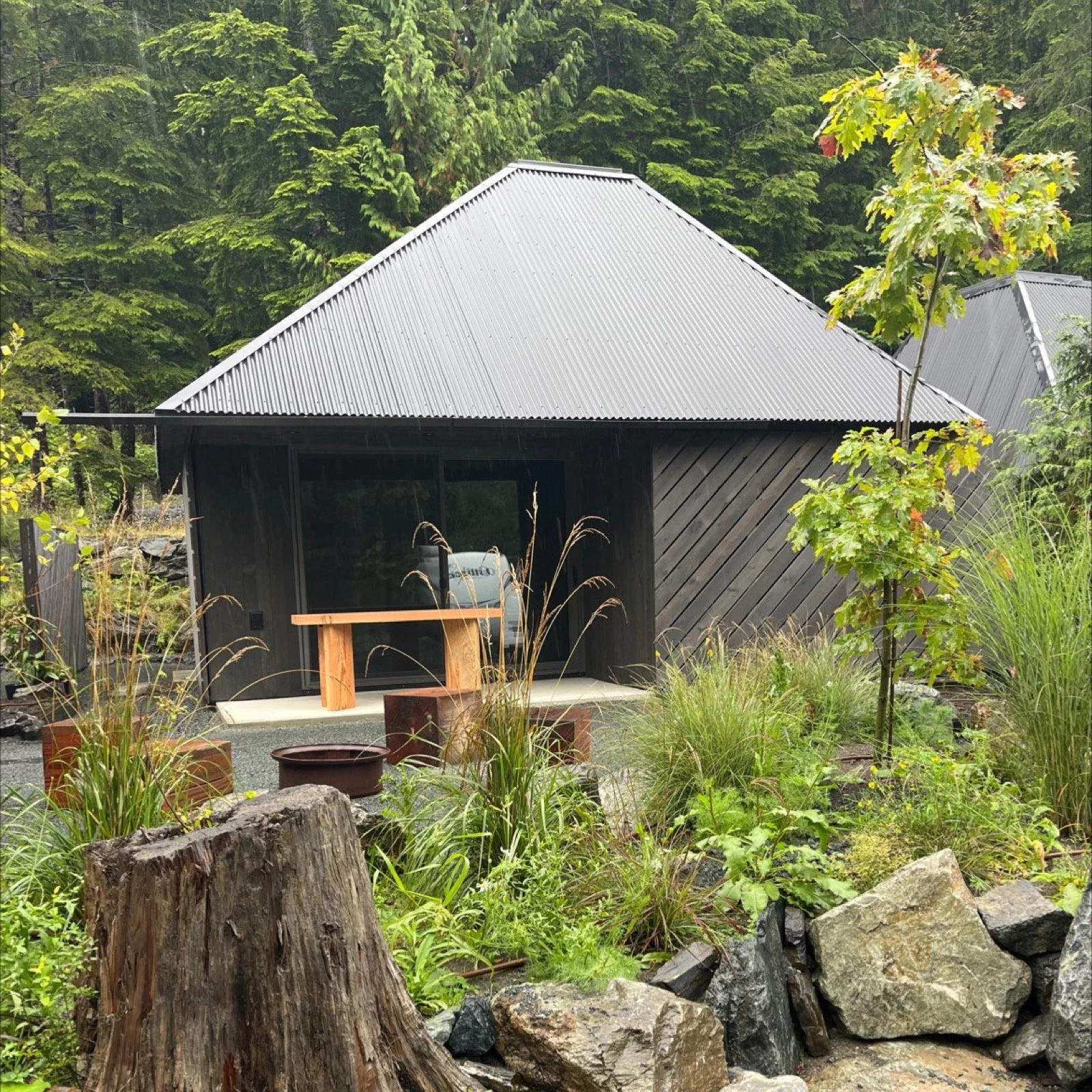 Timber cabin with metal roof among the trees - a Green Isle Homes & Timberworks project