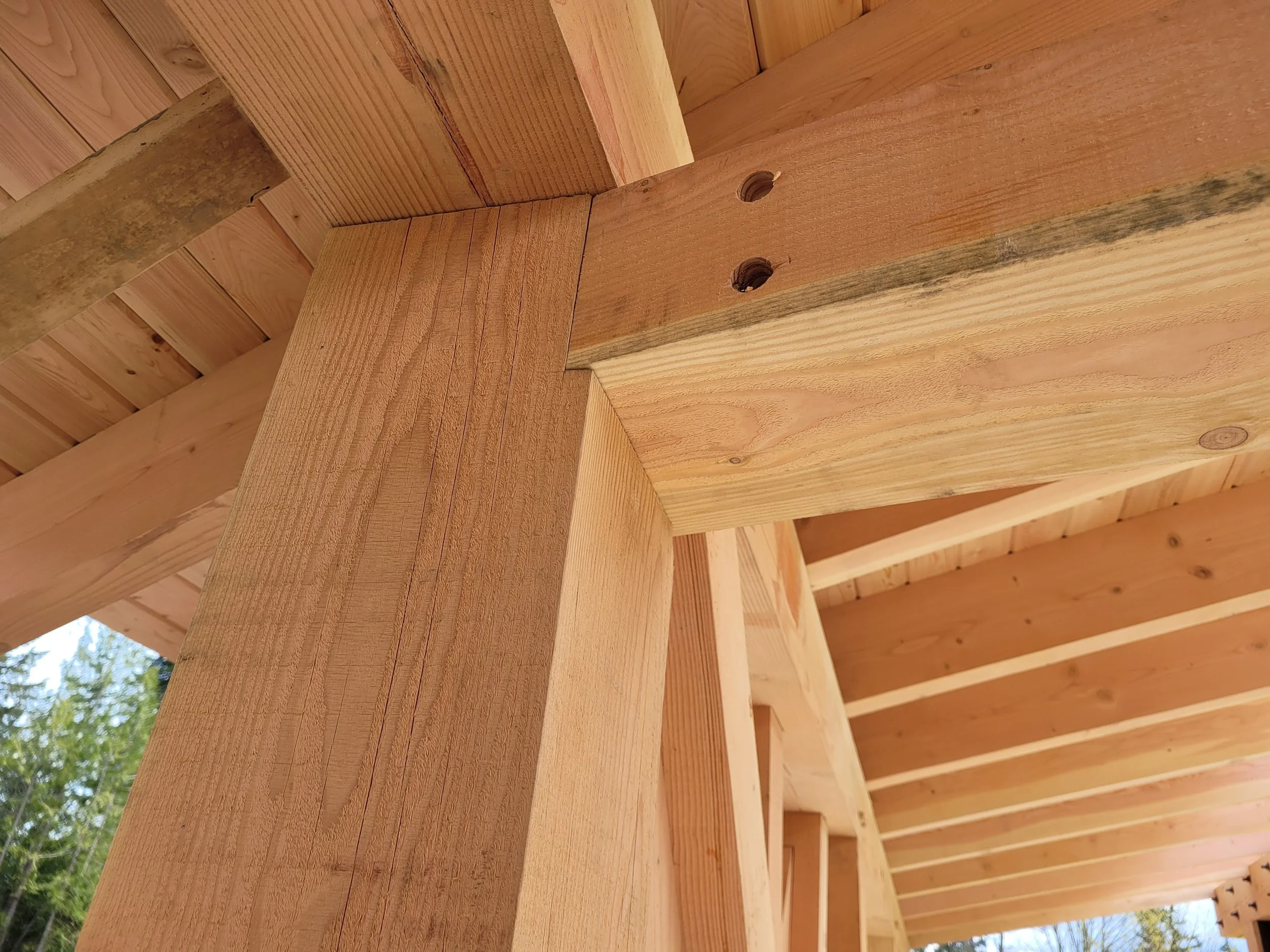 Cobble_Hill_Build_24_roof_framing_detail.jpg
