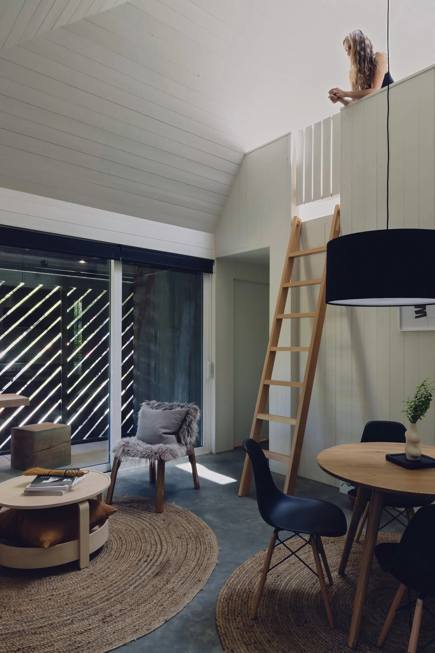 Tsuga_03_loft_and_ladder_with_guest.jpg