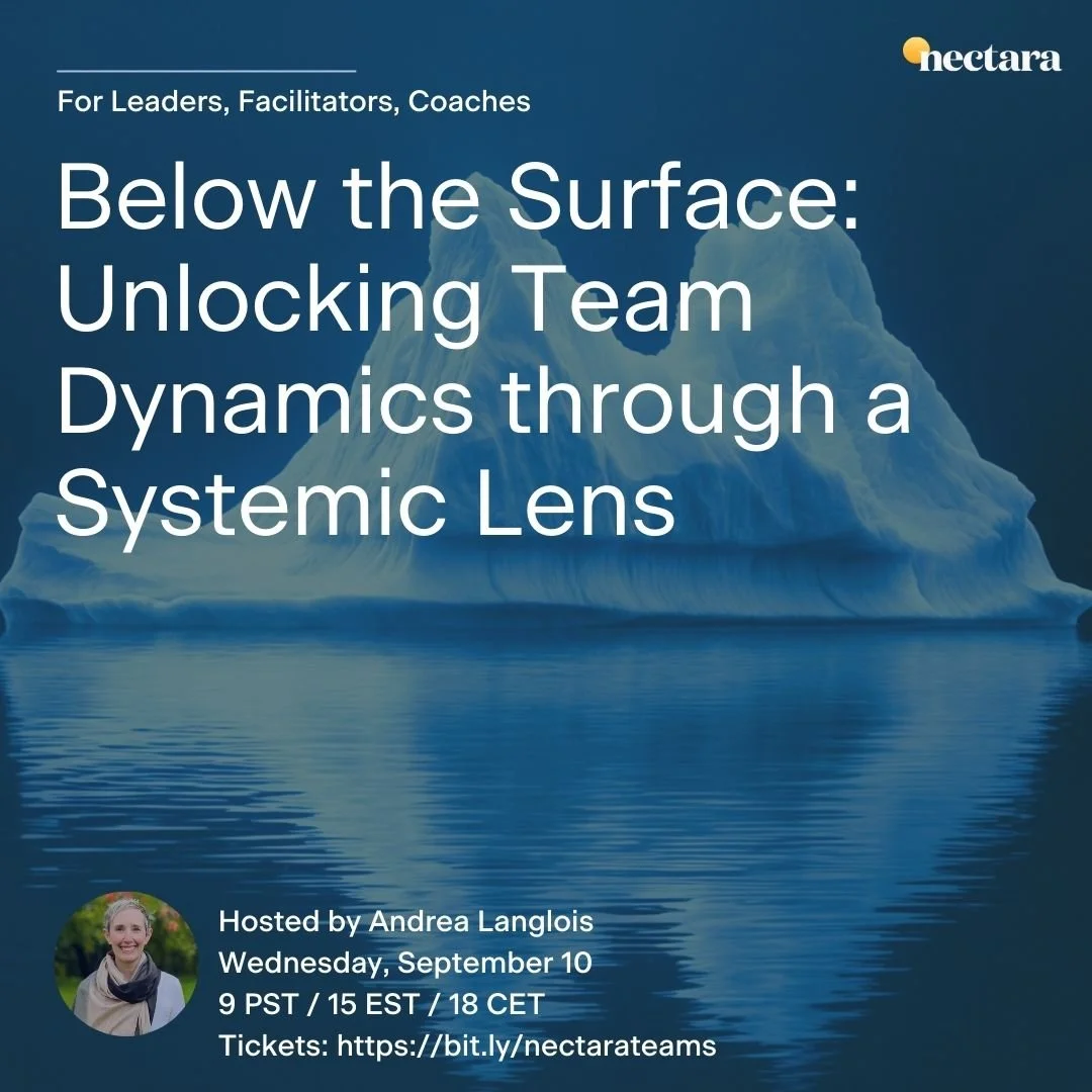 Nectara Workshop: Wisdom Below the Surface, Unlocking Team Dynamics Through a Systemic Lens