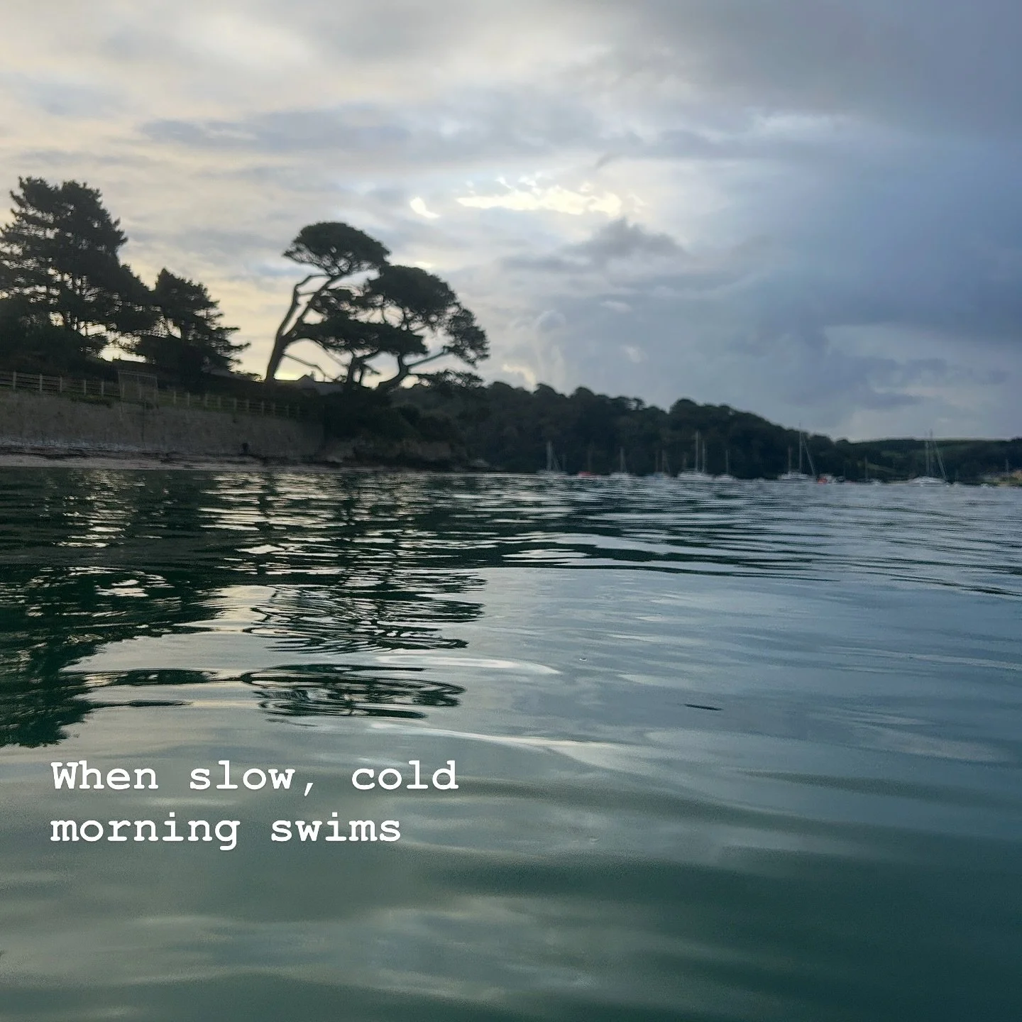 An early morning dip in St Mawes, where I was caught between the goodness felt from being in salty loveliness and wanting to get out because it was so cold.

Early Bird ~ coming soon!