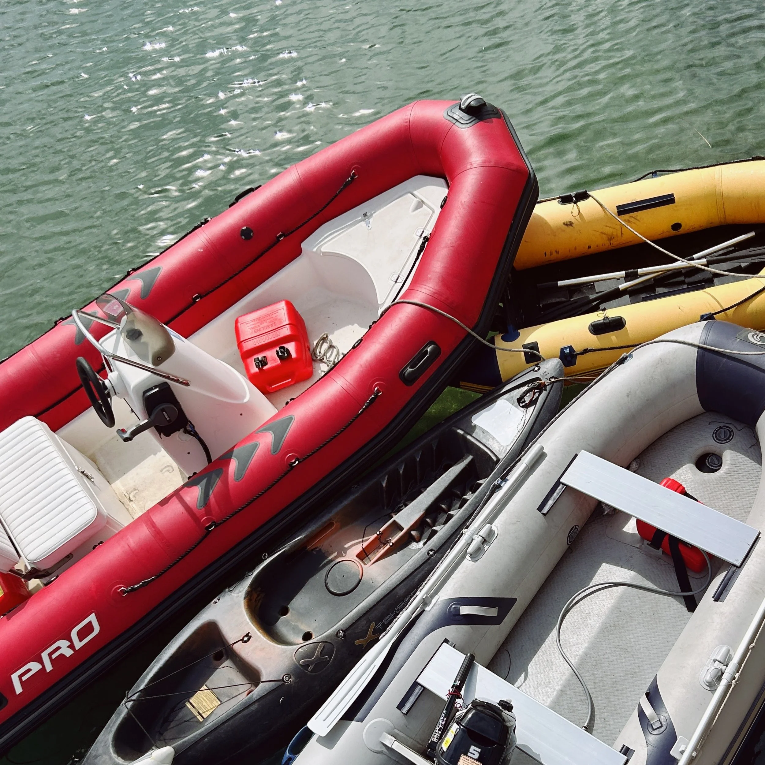 Harbourside moments 🛶 ⚓️.
