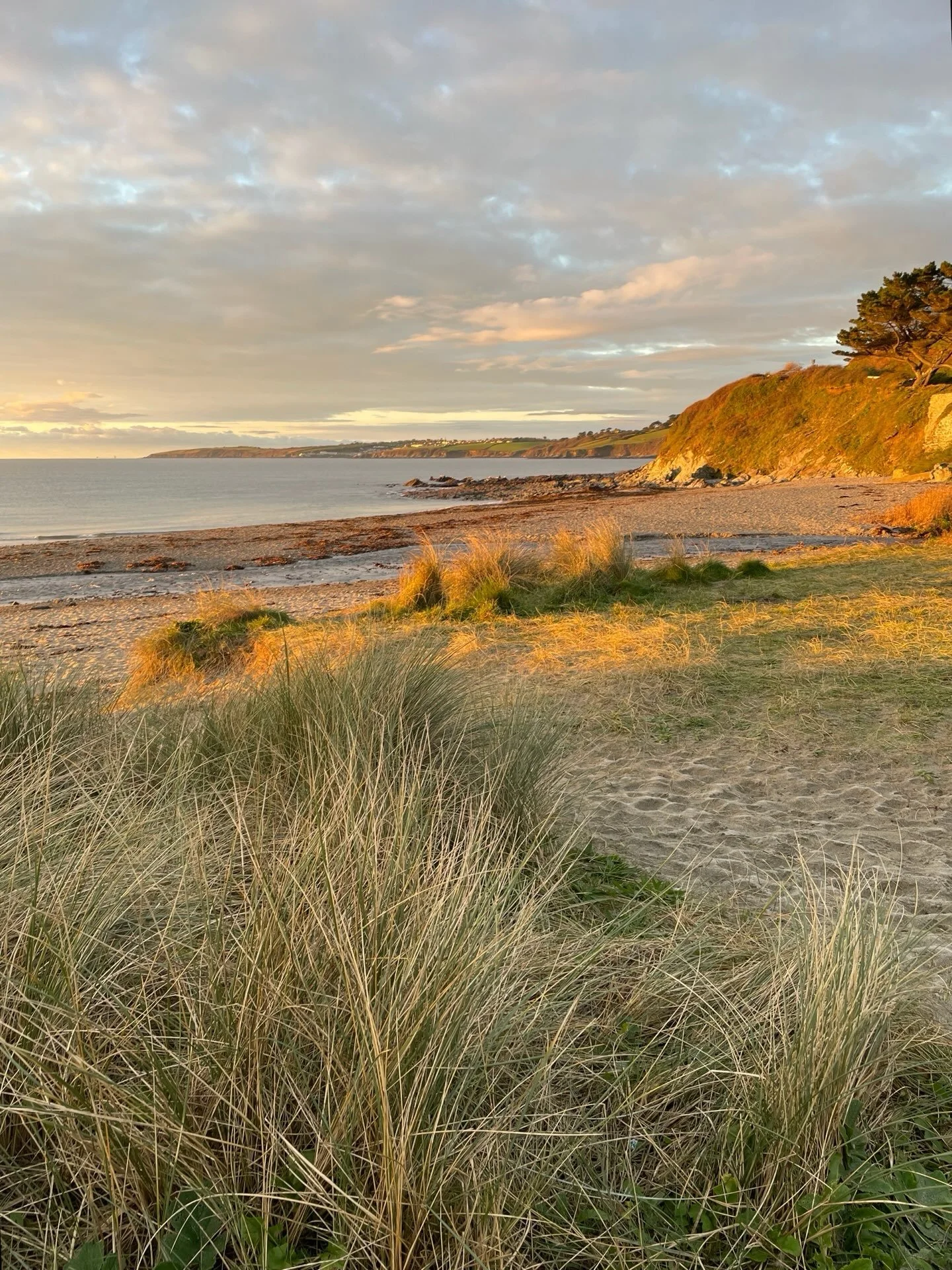 The December golden light hitting the rocks and sea was something I couldn&rsquo;t ignore; It changed how everything looked. The low winter light simply worked its magic. 

Months later, when I started painting Winter Dawn Dip, it was all I could rem