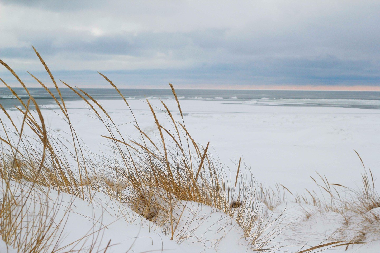 🌸 Spring is the secret season in South Haven&mdash;mild days, peaceful beaches, and no summer crowds! 🌊☀️ 

Whether you're up for a quiet escape or a weekend full of adventure, Serenity Shores has everything you need. 

Bonus? Easter weekend is sti