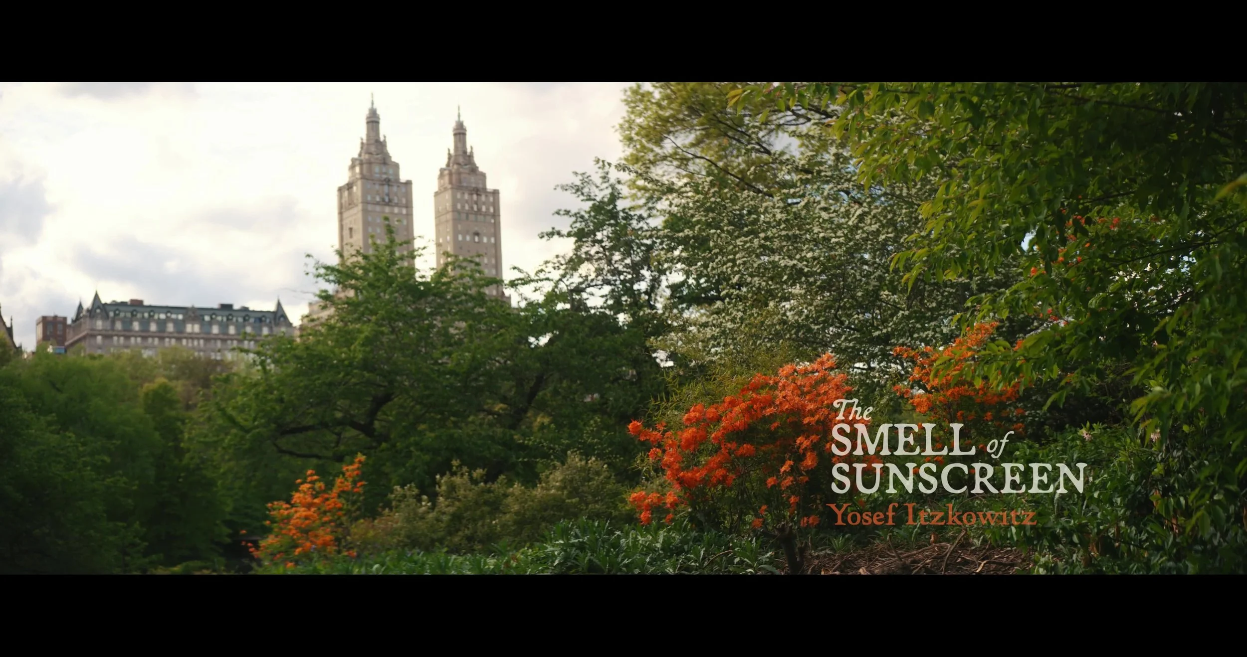 Smell of sunscreen - grab.jpg