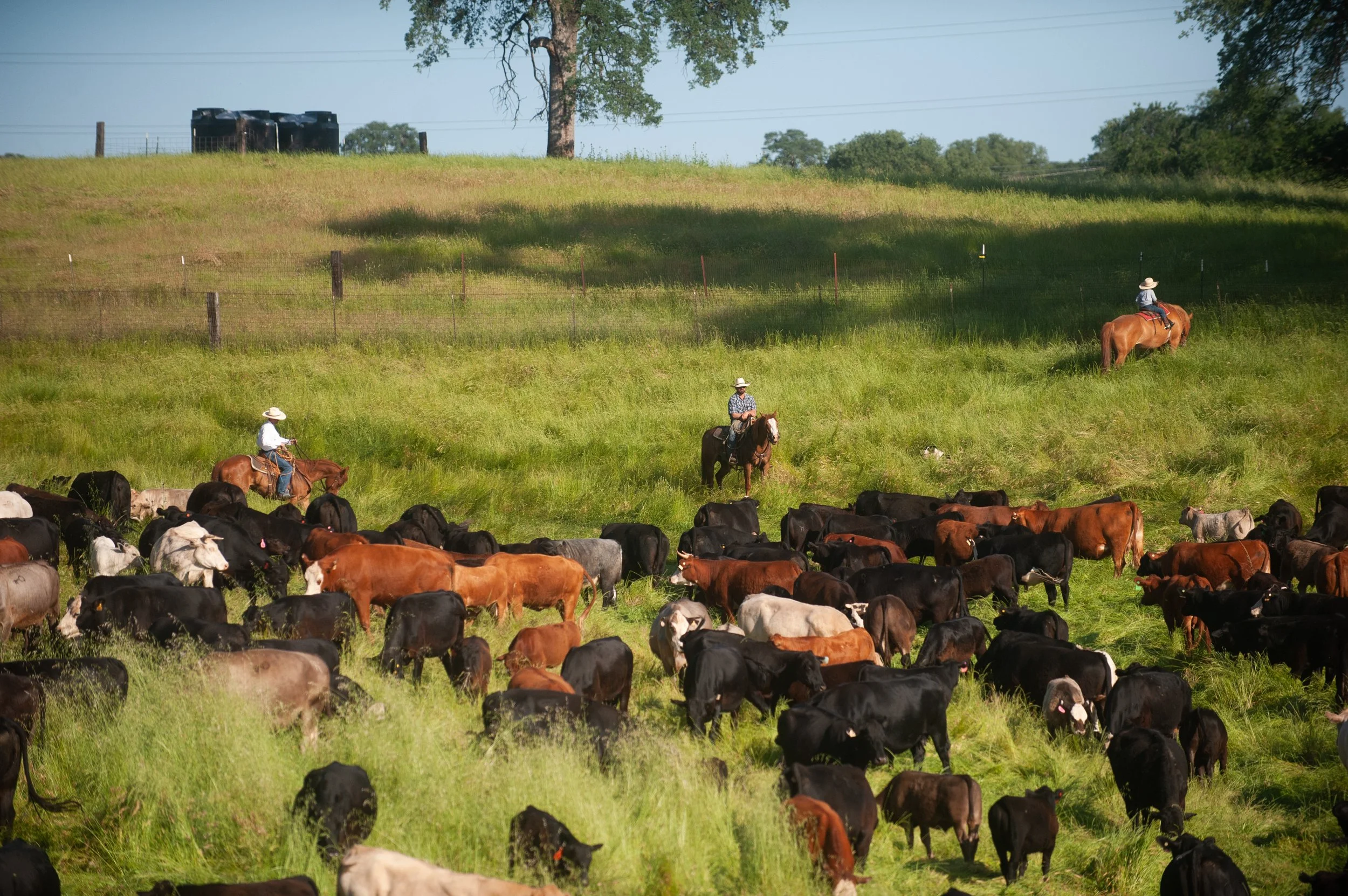 5 Signs You've Outgrown Spreadsheets for Your Agriculture Operation