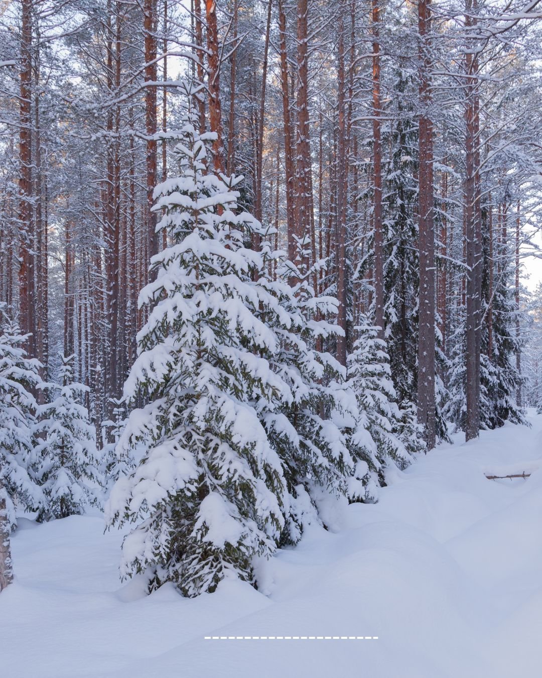 Wintering and Reflecting: Setting Time Boundaries During the Holiday Season&nbsp;