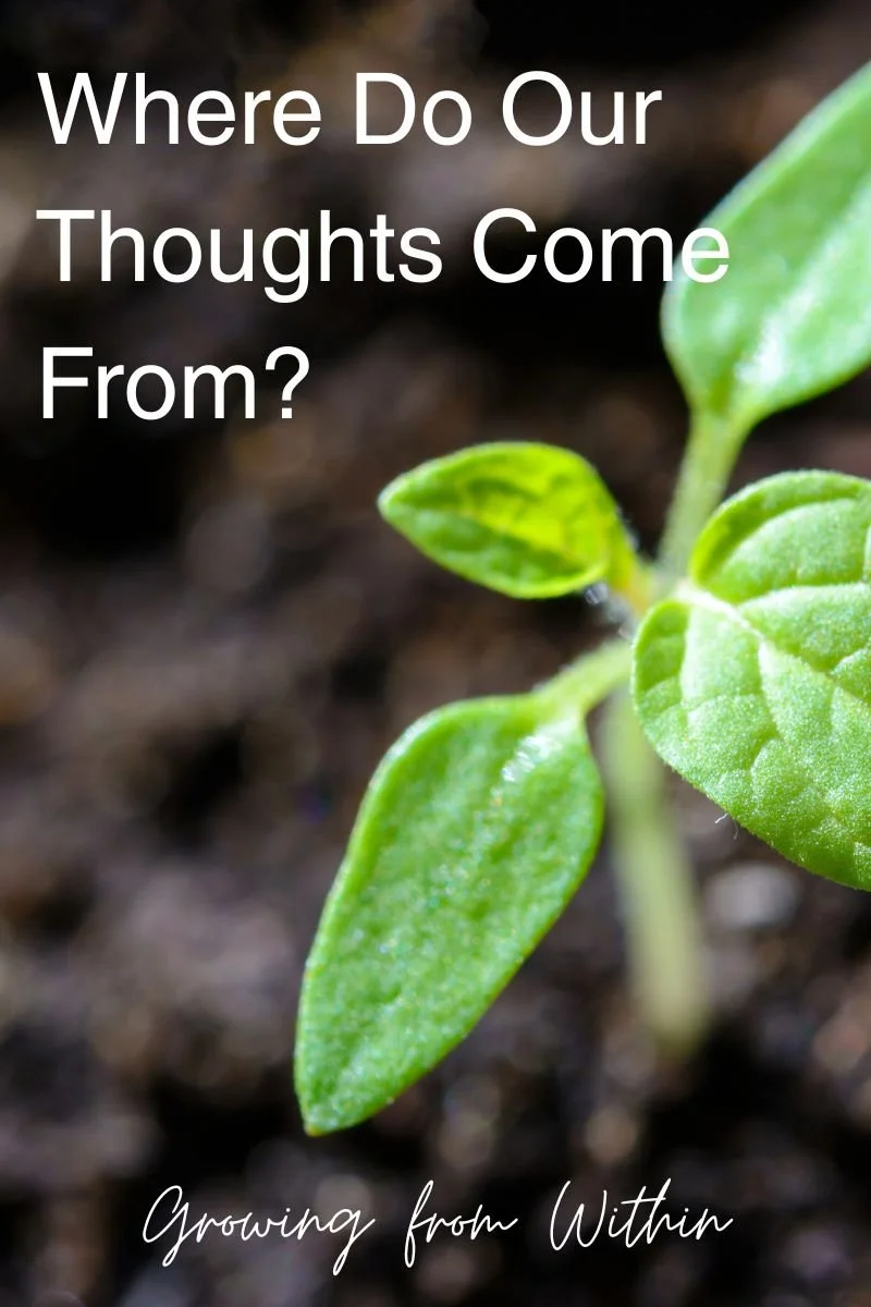 Where Do Our Thoughts Come From?