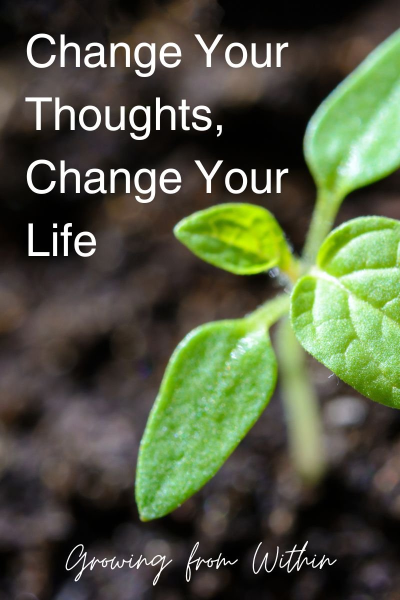 Change Your Thoughts, Change Your Life