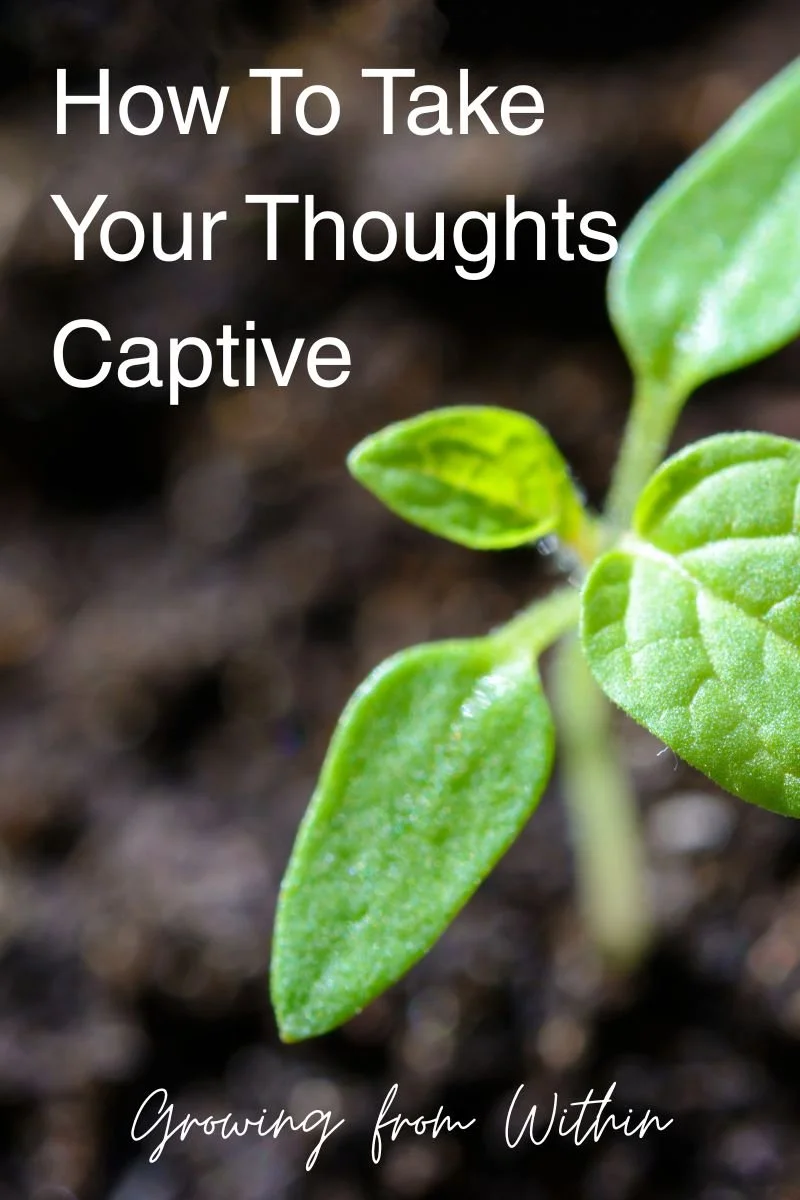 How To Take Your Thoughts Captive